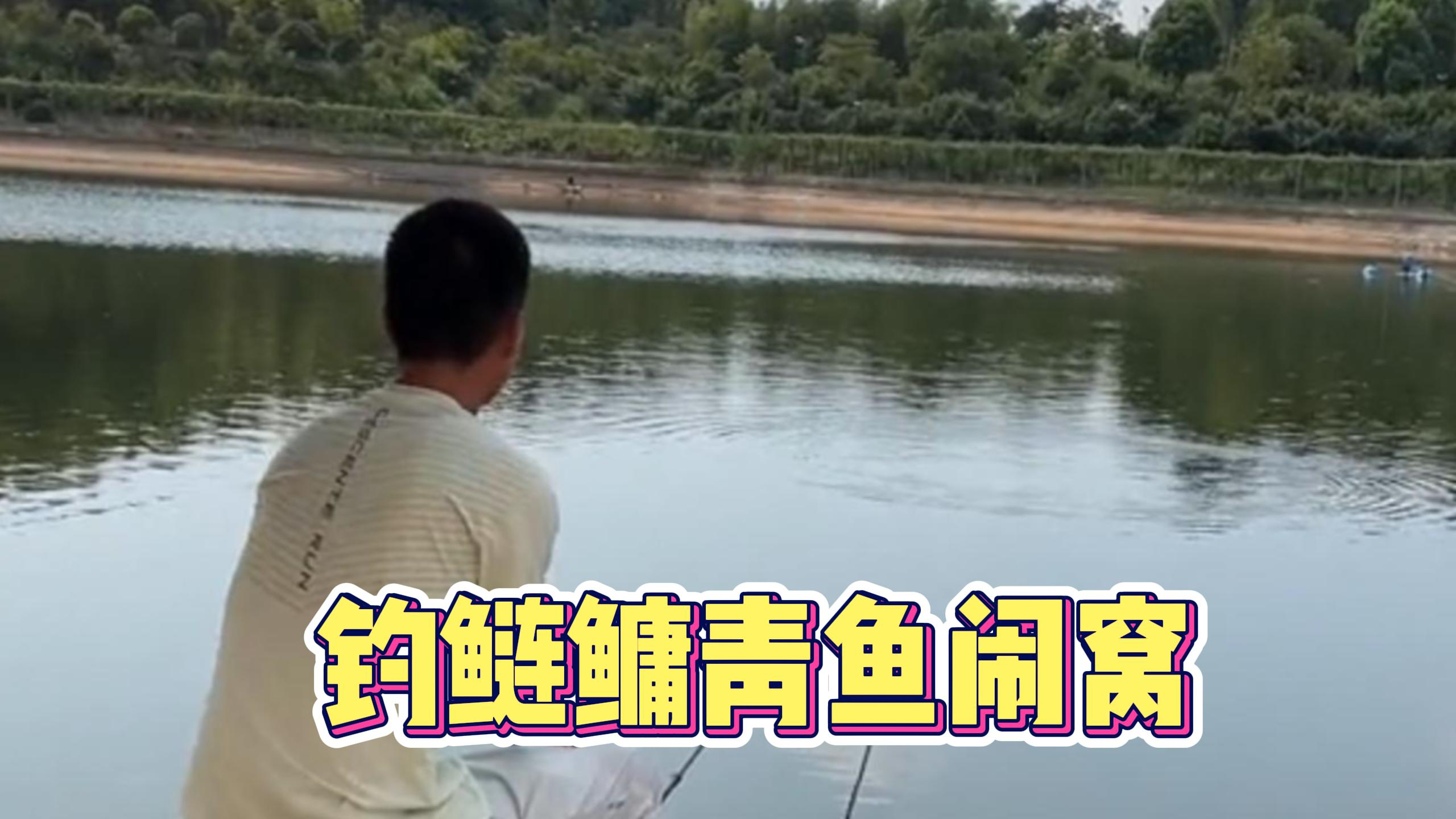 这还是第一次本都回了,目标鱼还没出现,老板也懵了