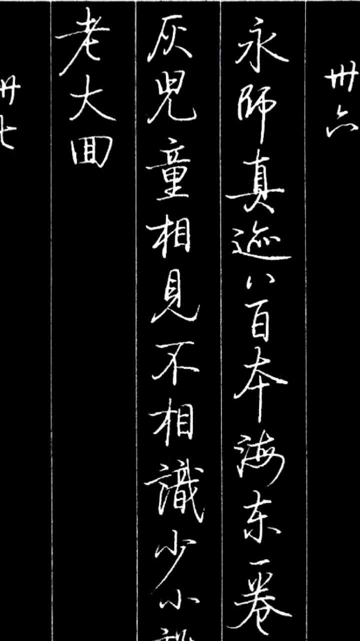 啟功體硬筆書法啟功論書詩永師真跡八百本海東一卷逃劫灰