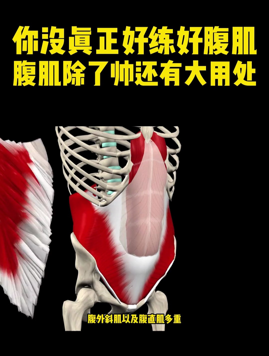 腹肌除了帅还有大用处