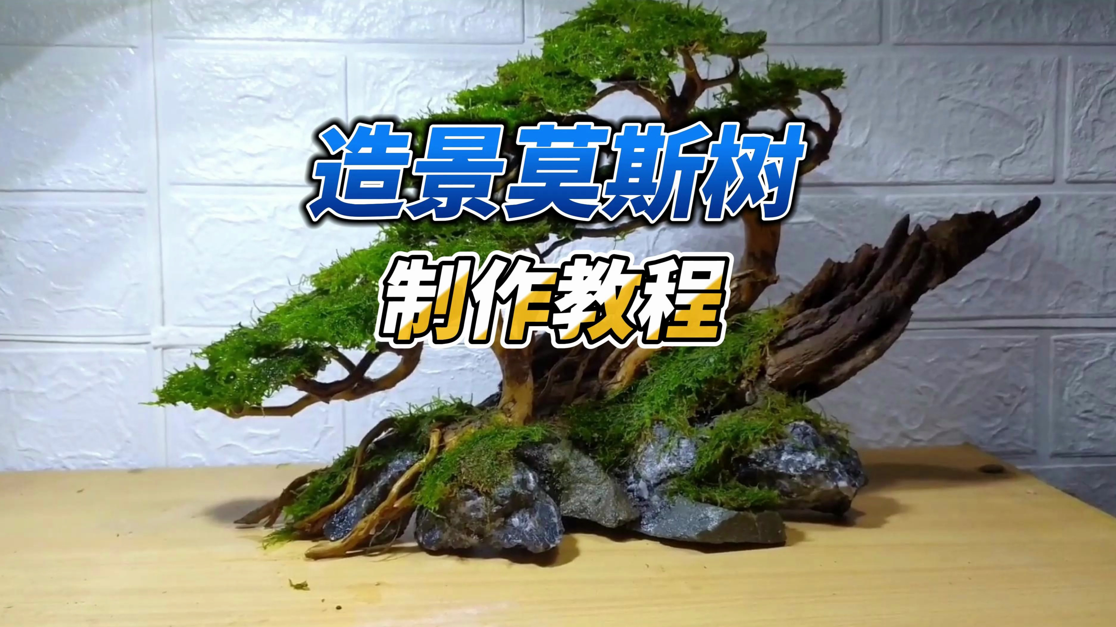 利用几根枯树枝,制作一棵鱼缸造景莫斯树,没想到是这样的效果