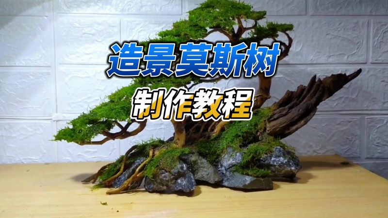 利用几根枯树枝,制作一棵鱼缸造景莫斯树,没想到是这样的效果,手作,其他手工艺,好看视频