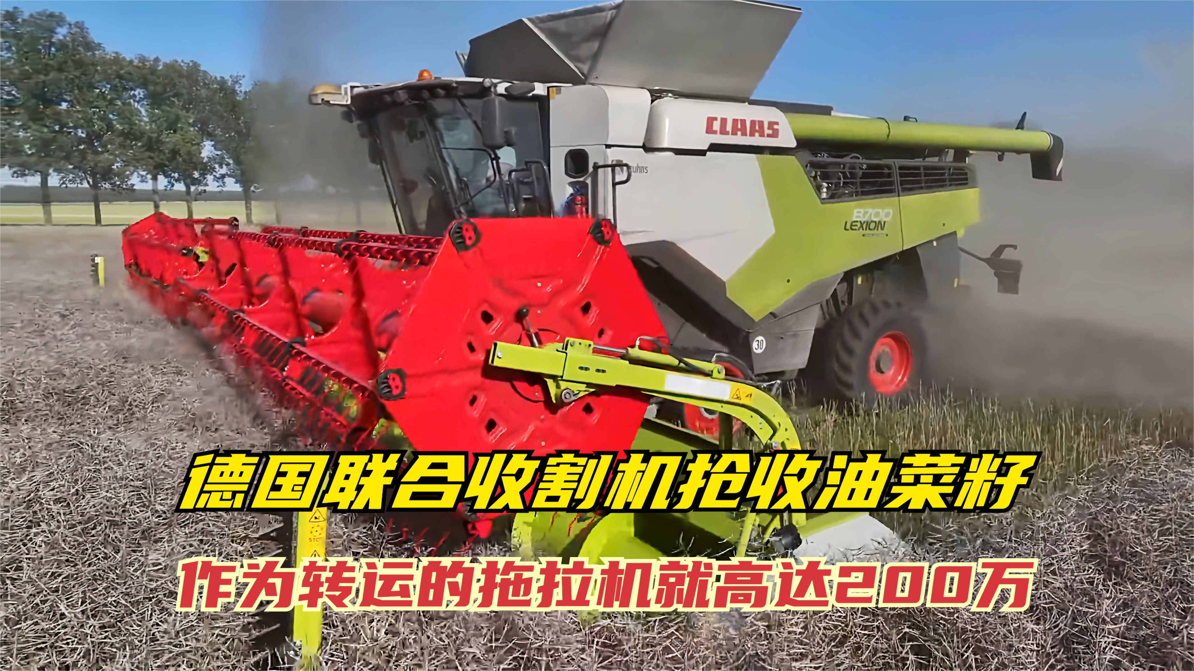 德国克拉斯8700收割油菜,转运拖拉机至少200万,但效率确实超值
