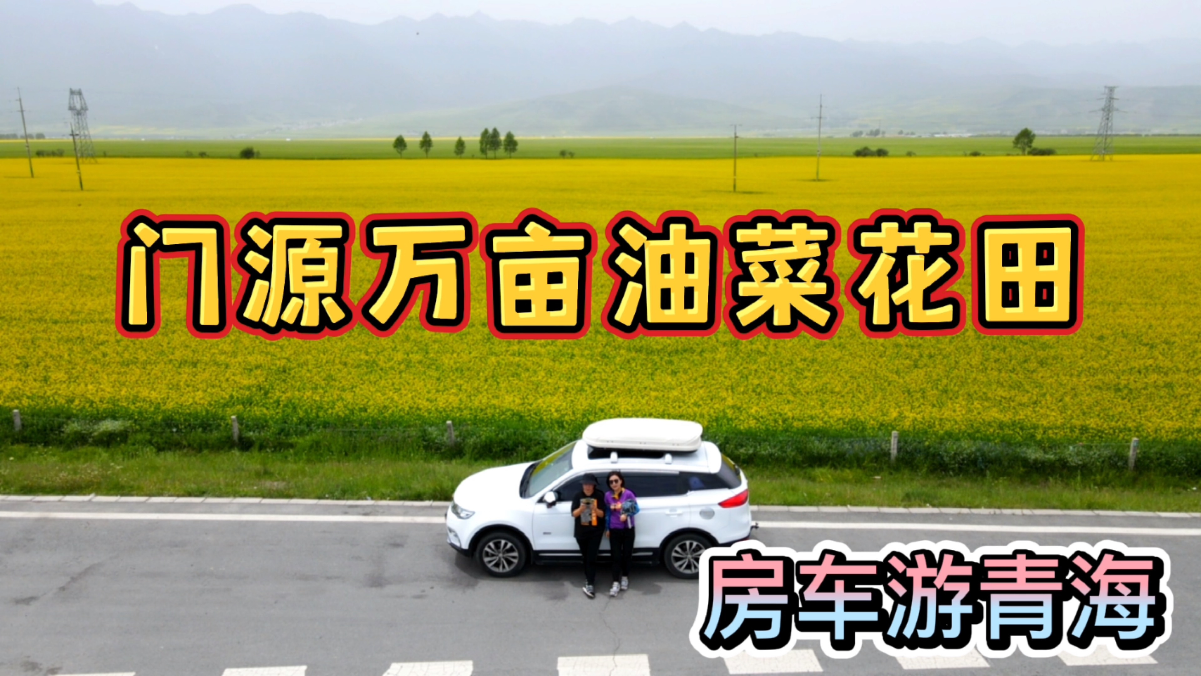 房车游青海门源万亩油菜花田,整个世界都是金黄色,无人机炸机了