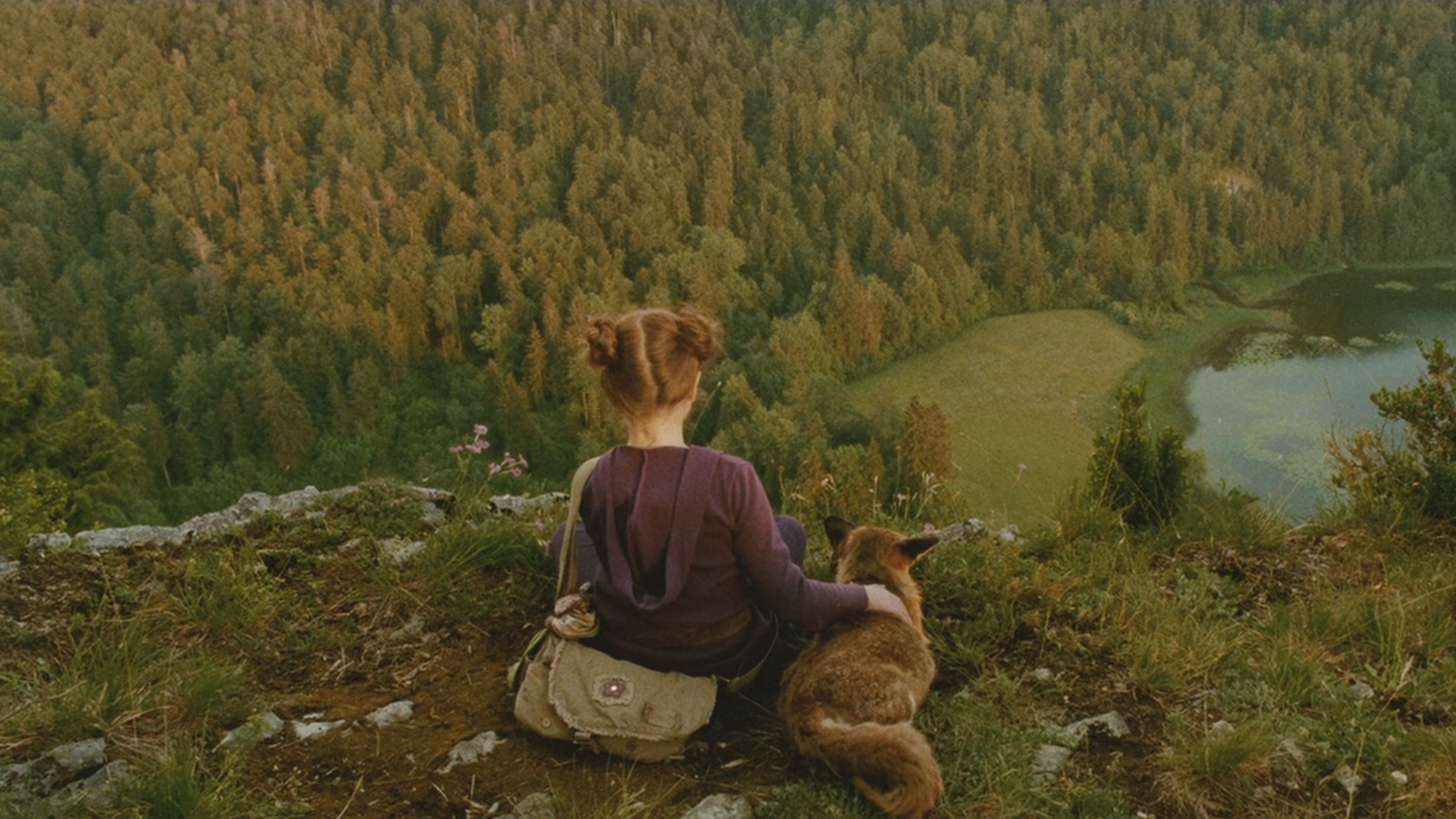 小女孩每天用面包喂野狐狸,狐狸送给她一颗鸡蛋大的夜明珠