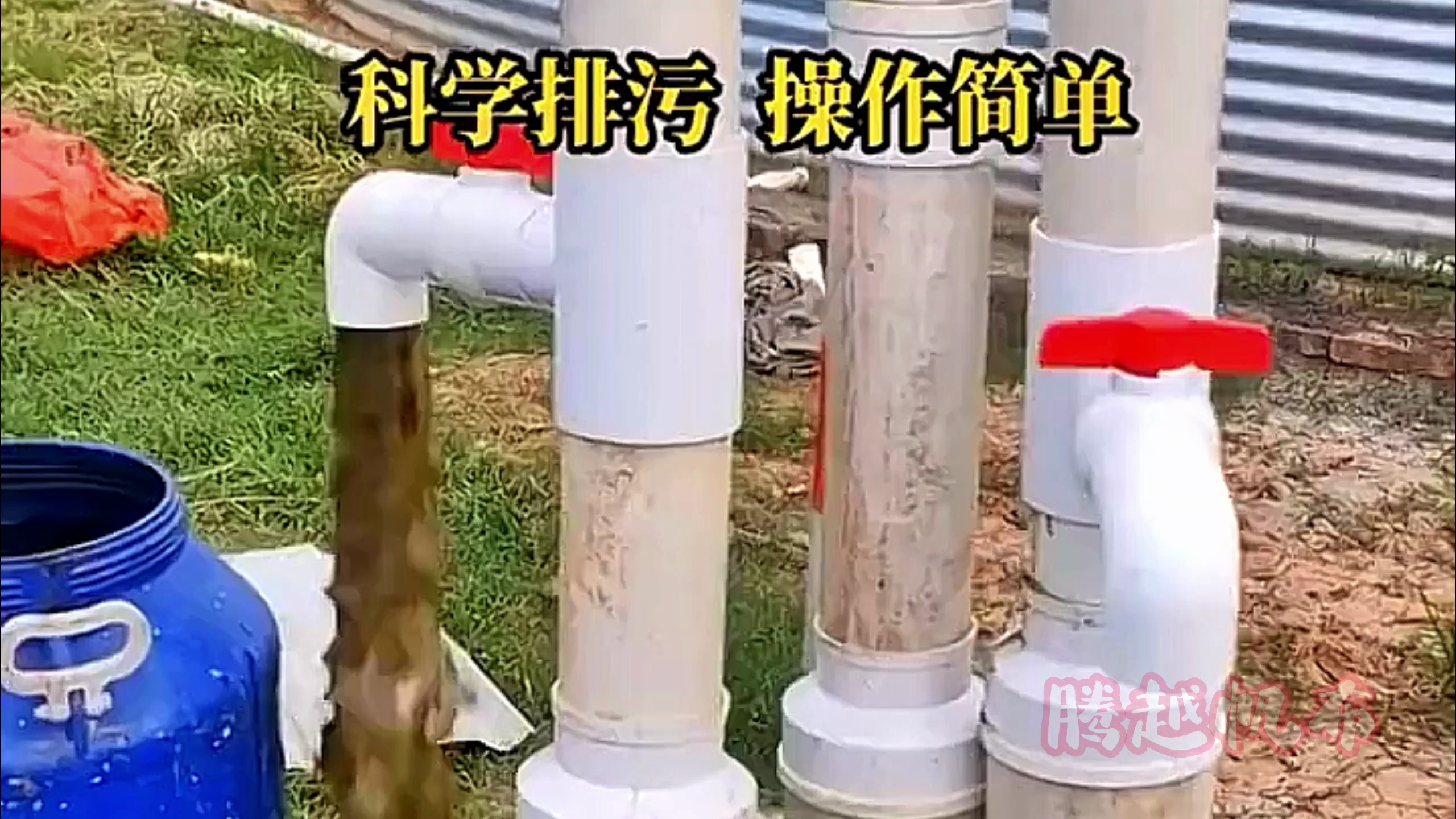 帆布鱼池可以养什么鱼帆布水池高密度养殖技术大棚水产养殖技术