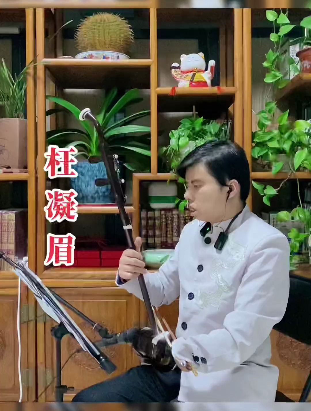 二胡大师独奏枉凝眉图片