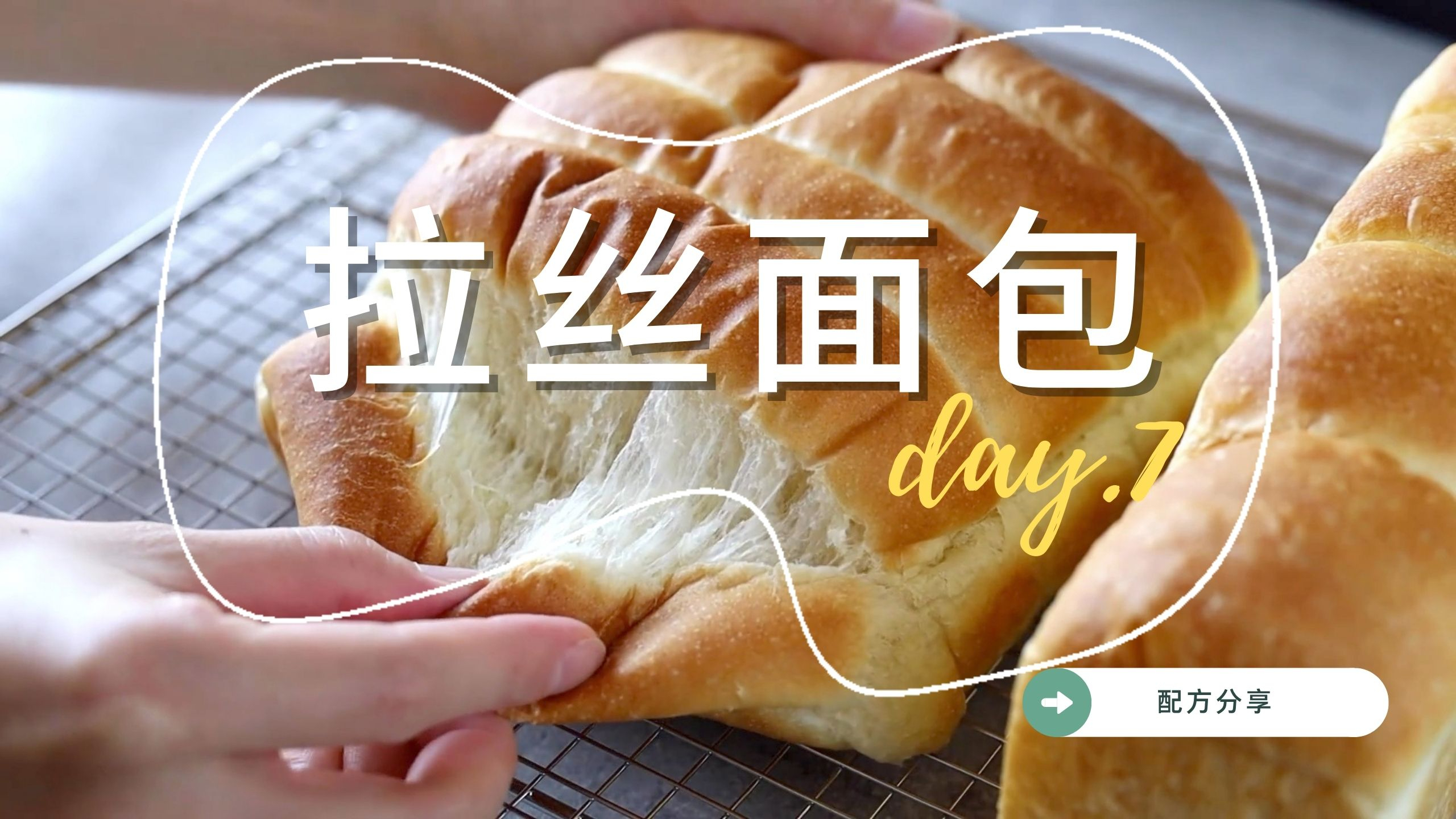 拉丝面包养成记 奶排包 奶排面包 吐司面包 拉丝面包 配方分享