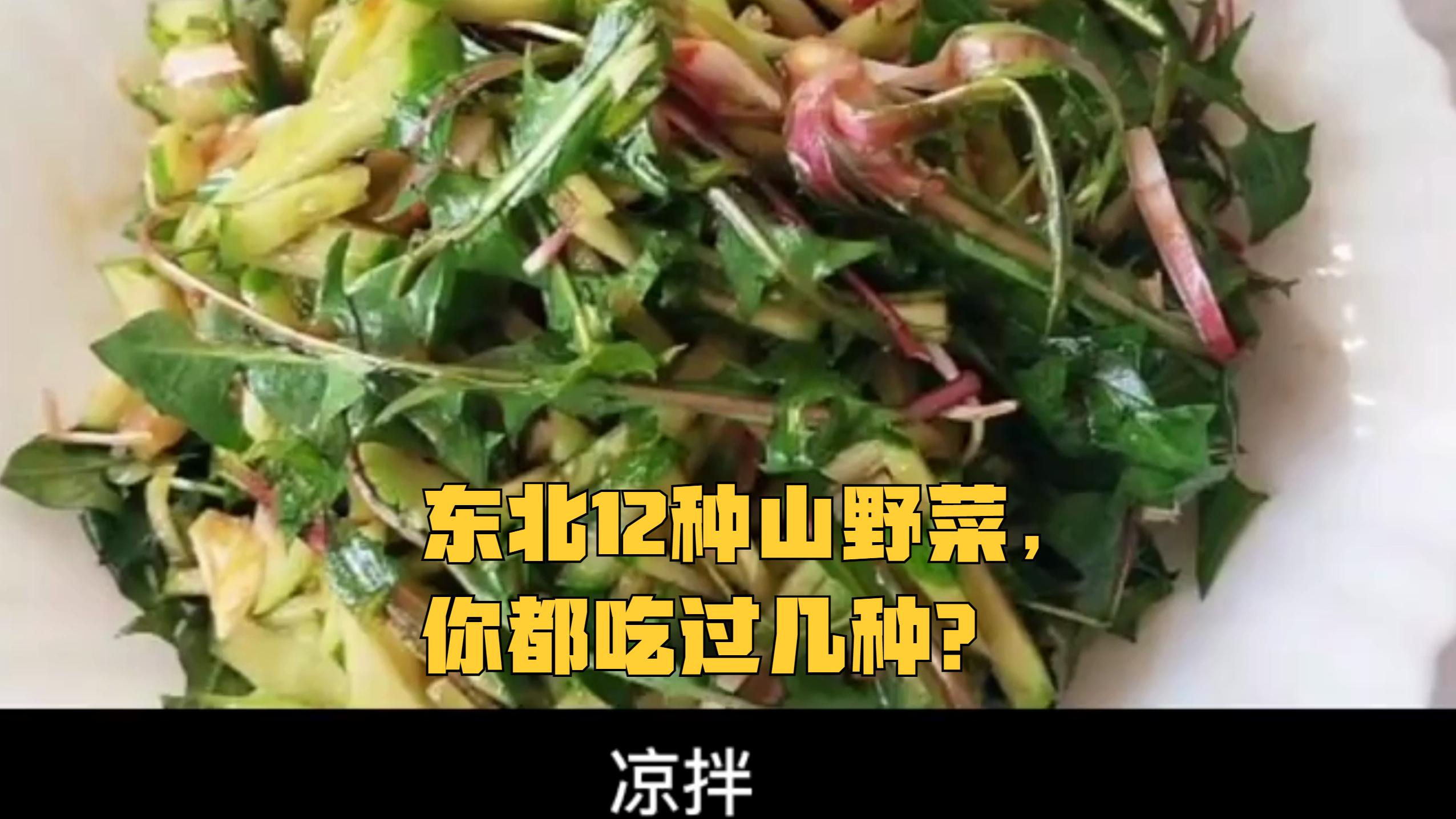 东北12种山野菜,你都吃过几种?
