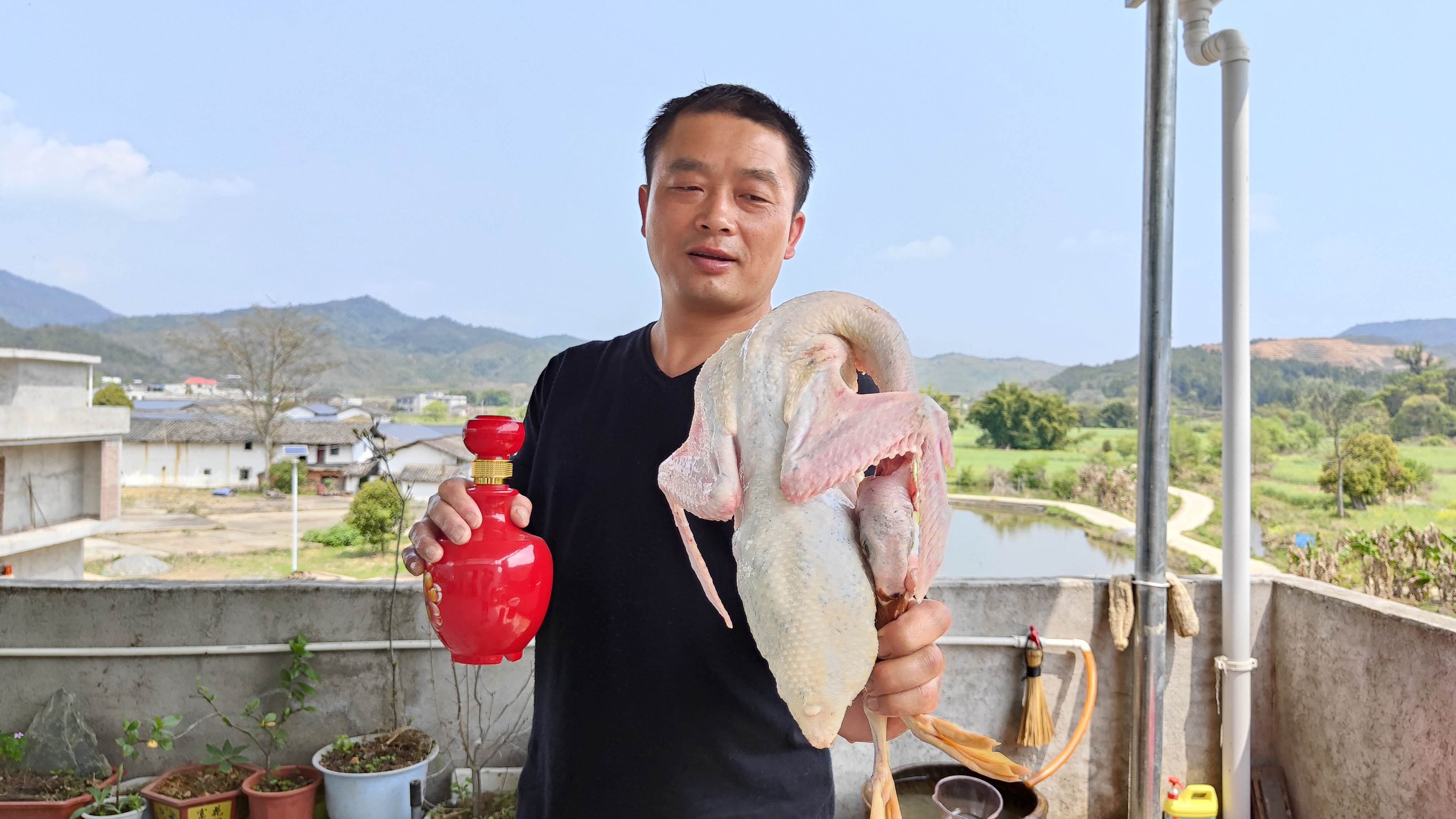 不用盐和醋,拔鸭毛就像退衣服一样只需5分钟,不但快关键还干净