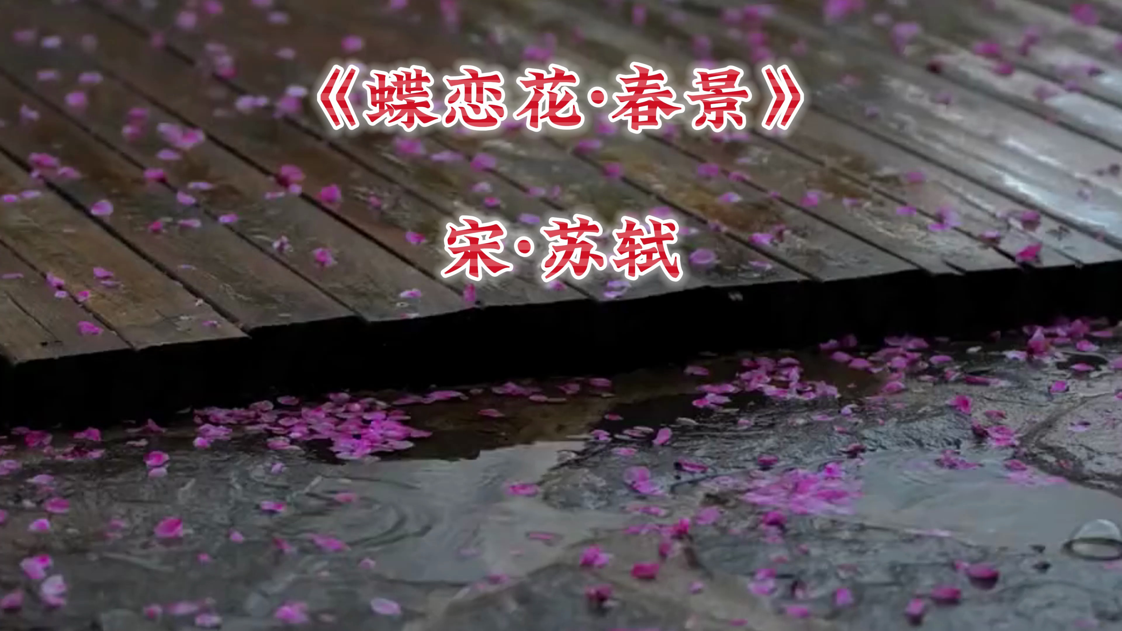 经典古诗诵读《蝶恋花·春景》宋·苏轼