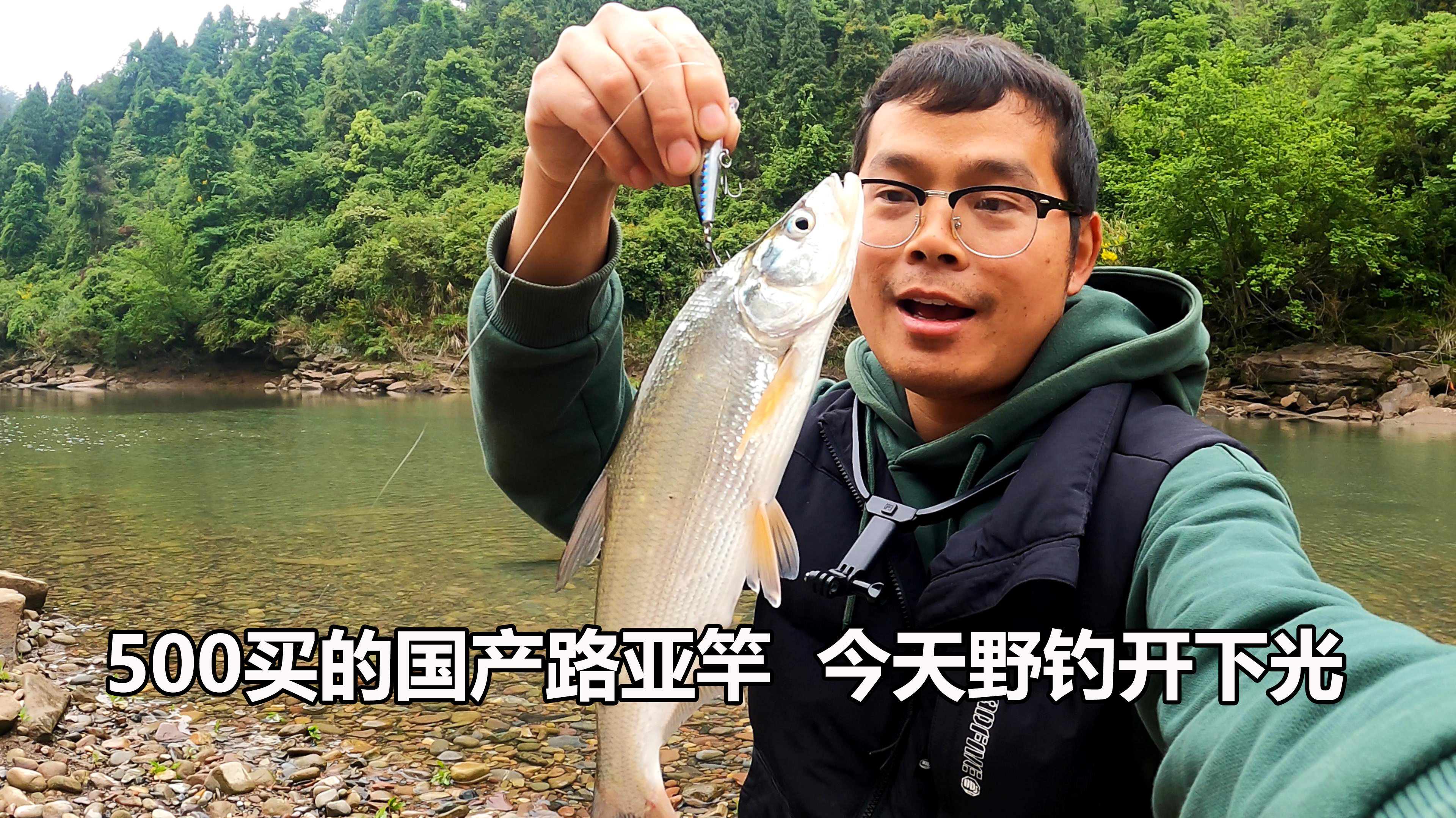 花500买的国产路亚竿,去溪流开下光,中鱼后溜起来效果妥妥的