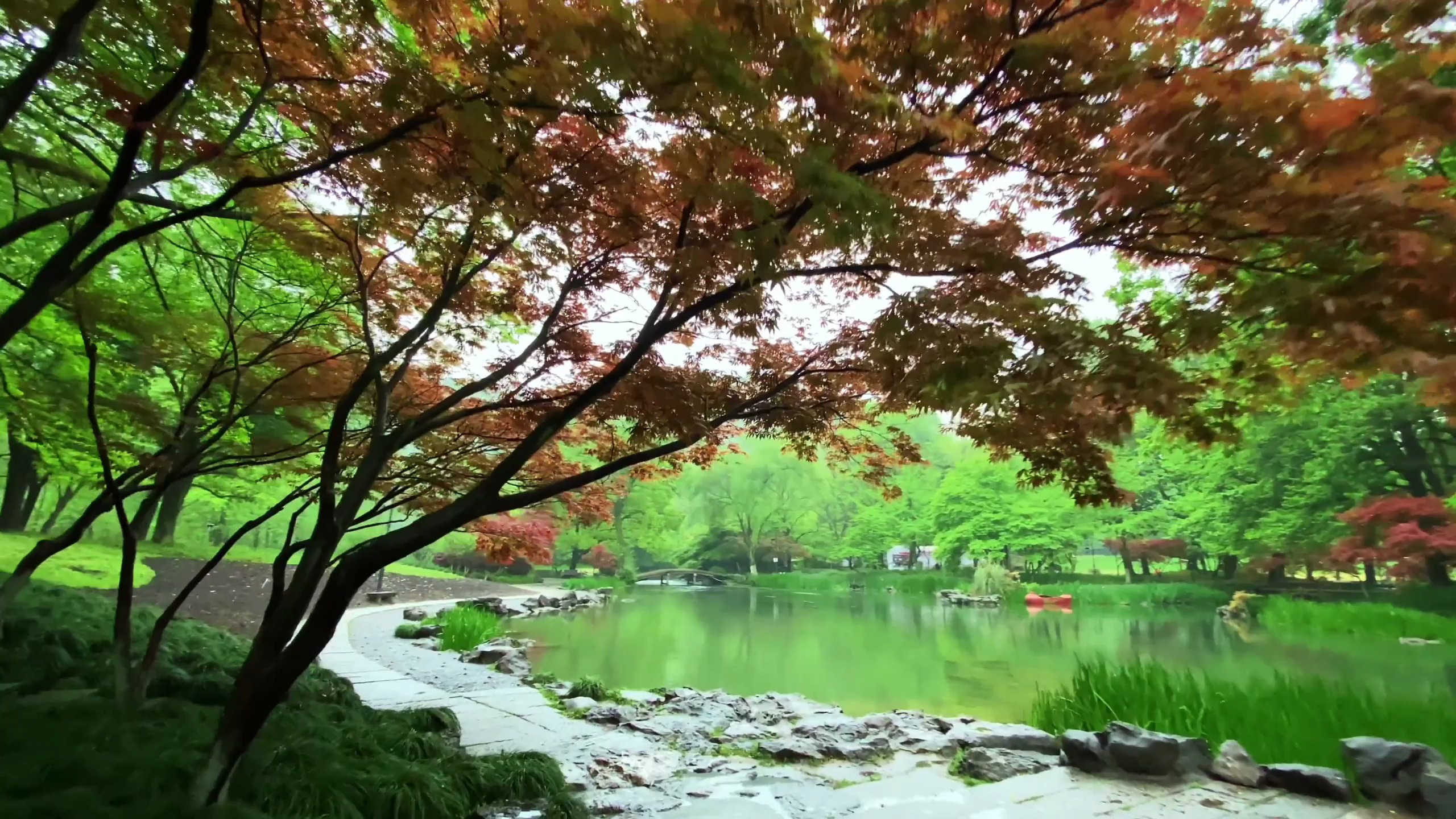 古琴禅韵,空山寂寂禅意声声,幽悠好自在神旷心怡醉