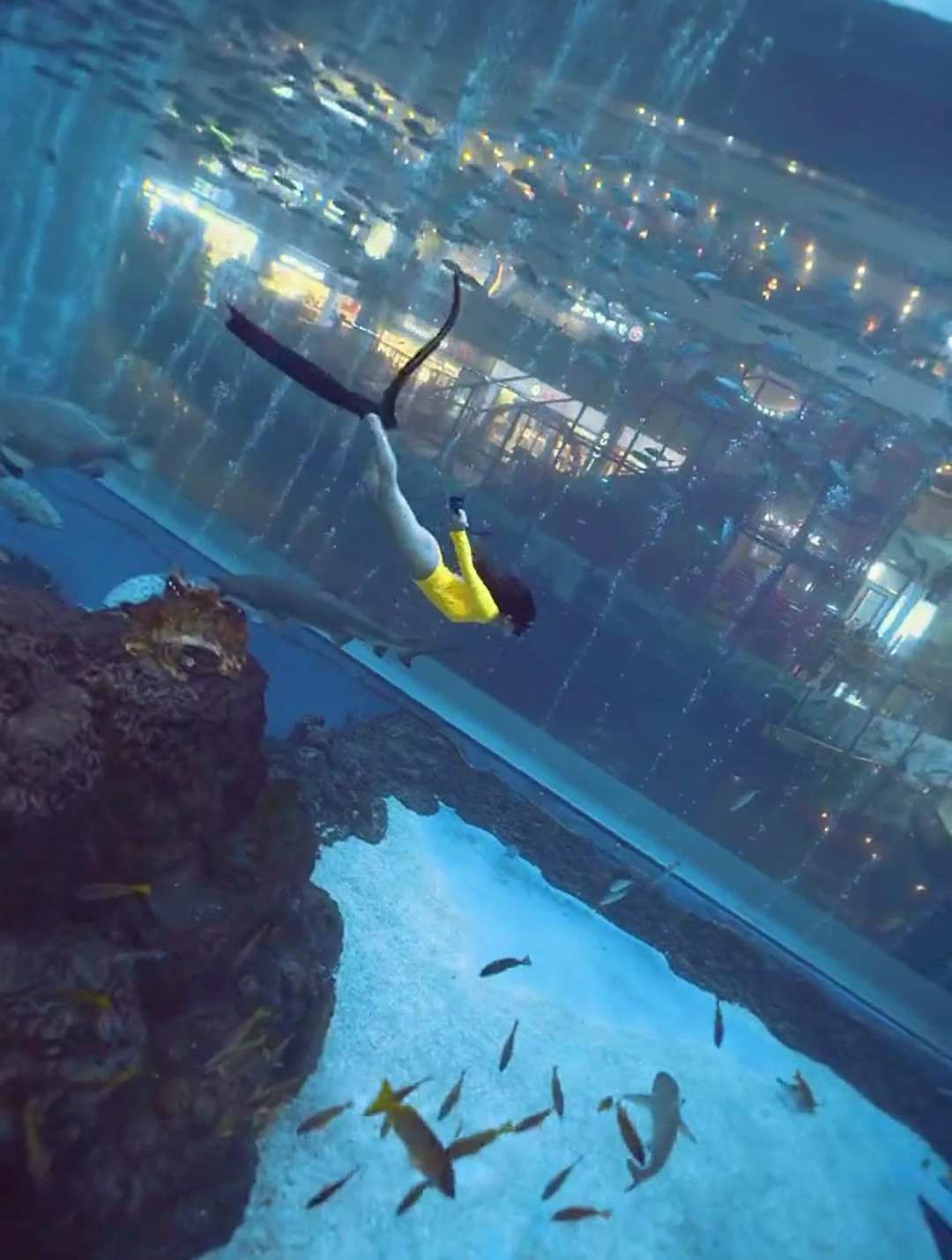 实拍美女去潜水,这画面太美了,眼前一幕活像一条美人鱼!