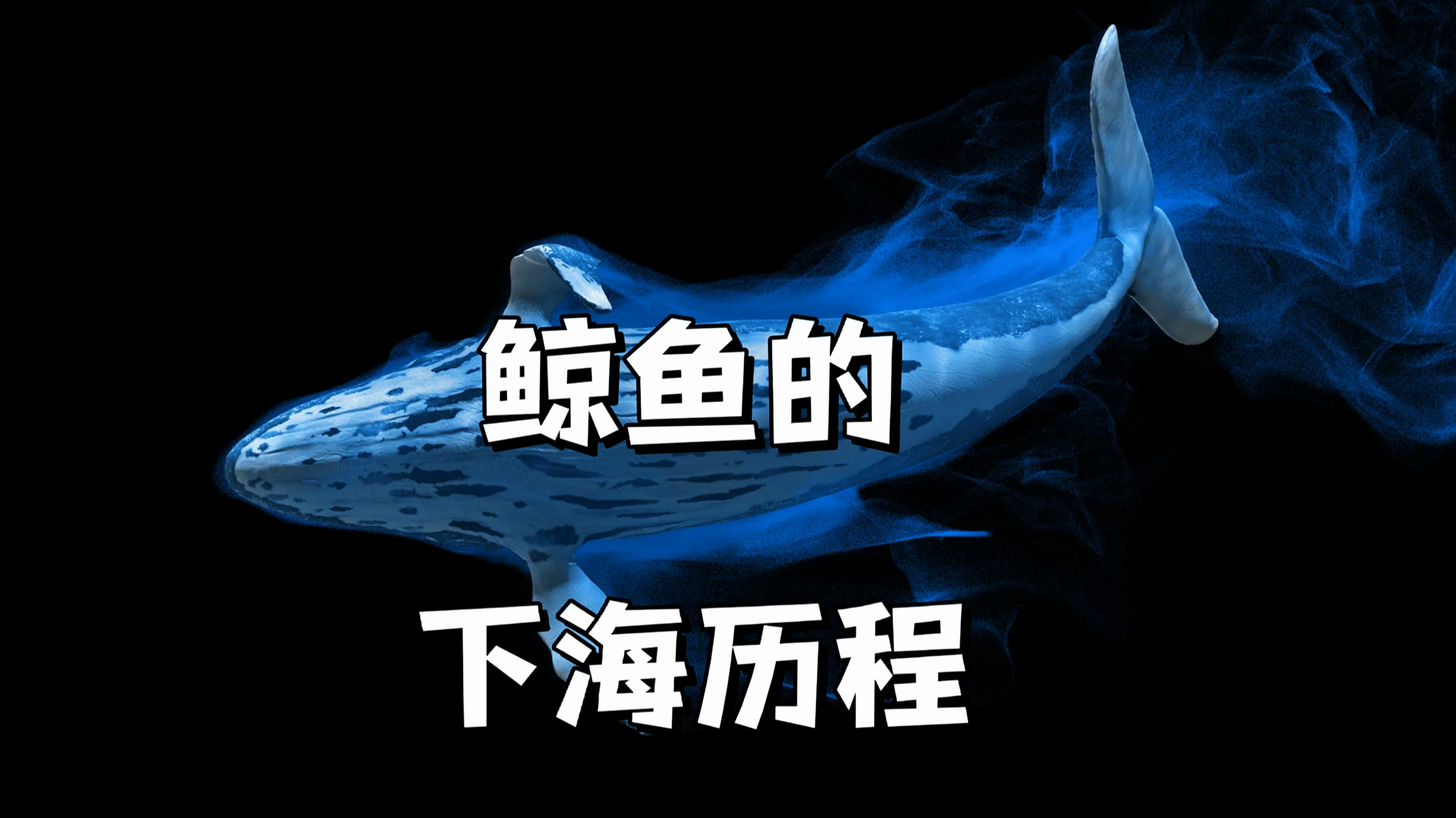 你知道鲸鱼是如何下海的吗？鲸鱼的进化历程超乎你的想象！