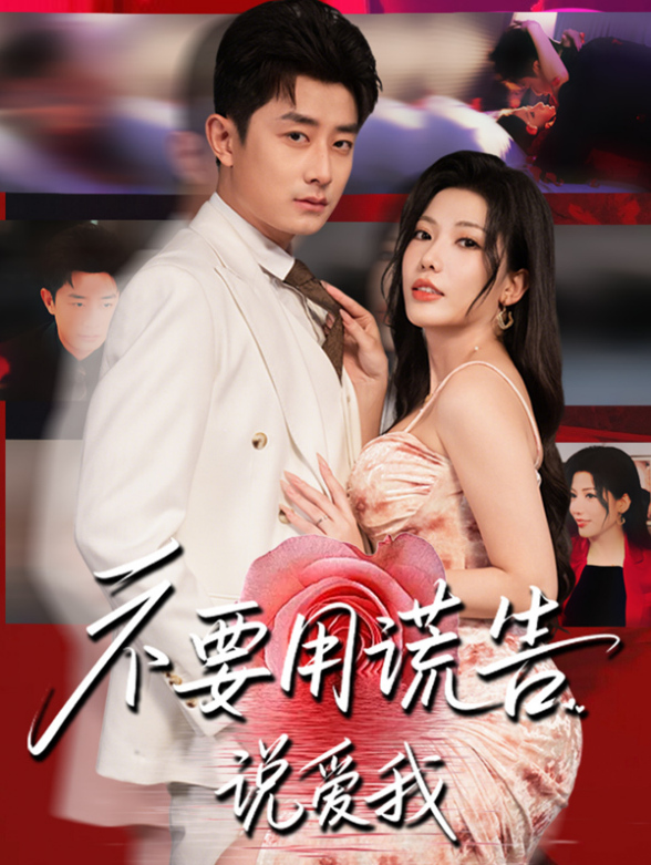 不要用谎言说爱我封面图