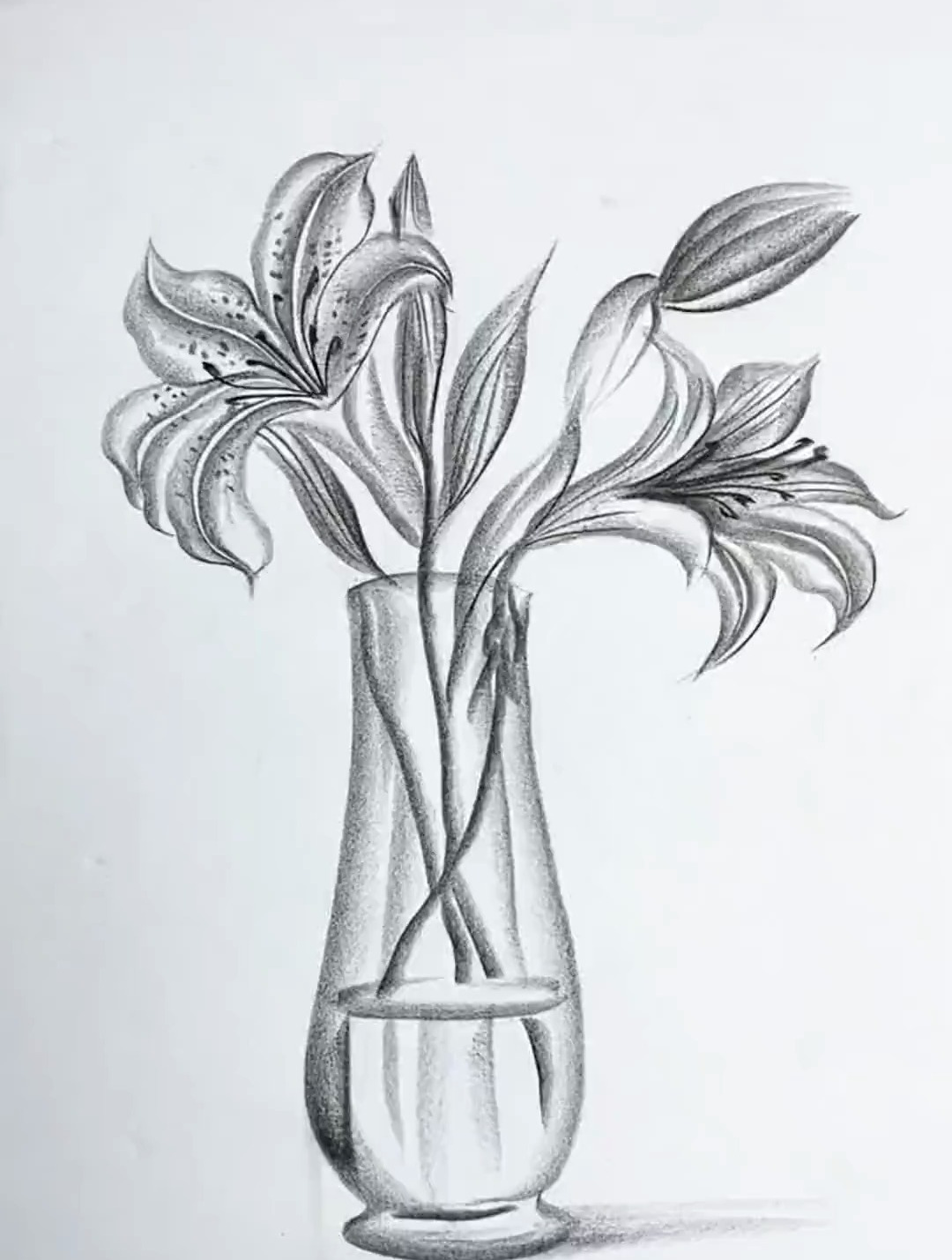 简单几笔画百合花