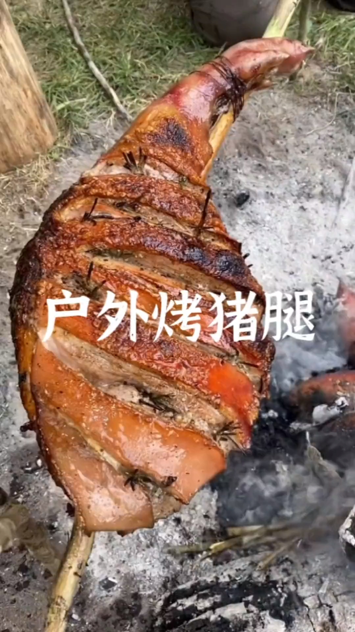 户外烤一整条猪腿,是不是很诱人