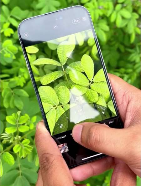 iphone14pro微距镜头夸张