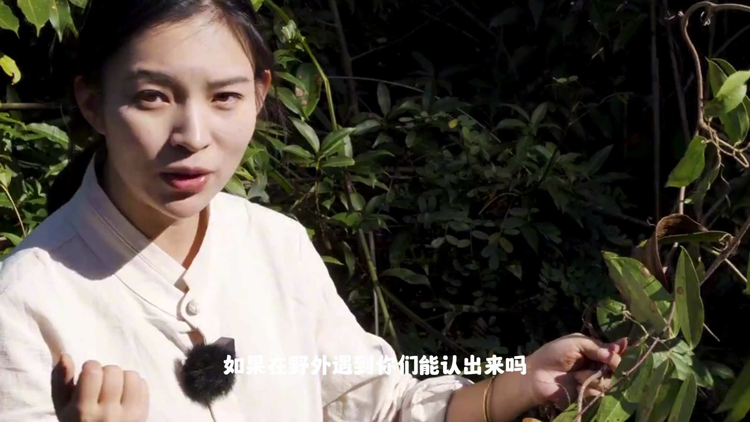 人人都知道土茯苓是煲汤的好材料,但是有多少人能真正的分清楚它