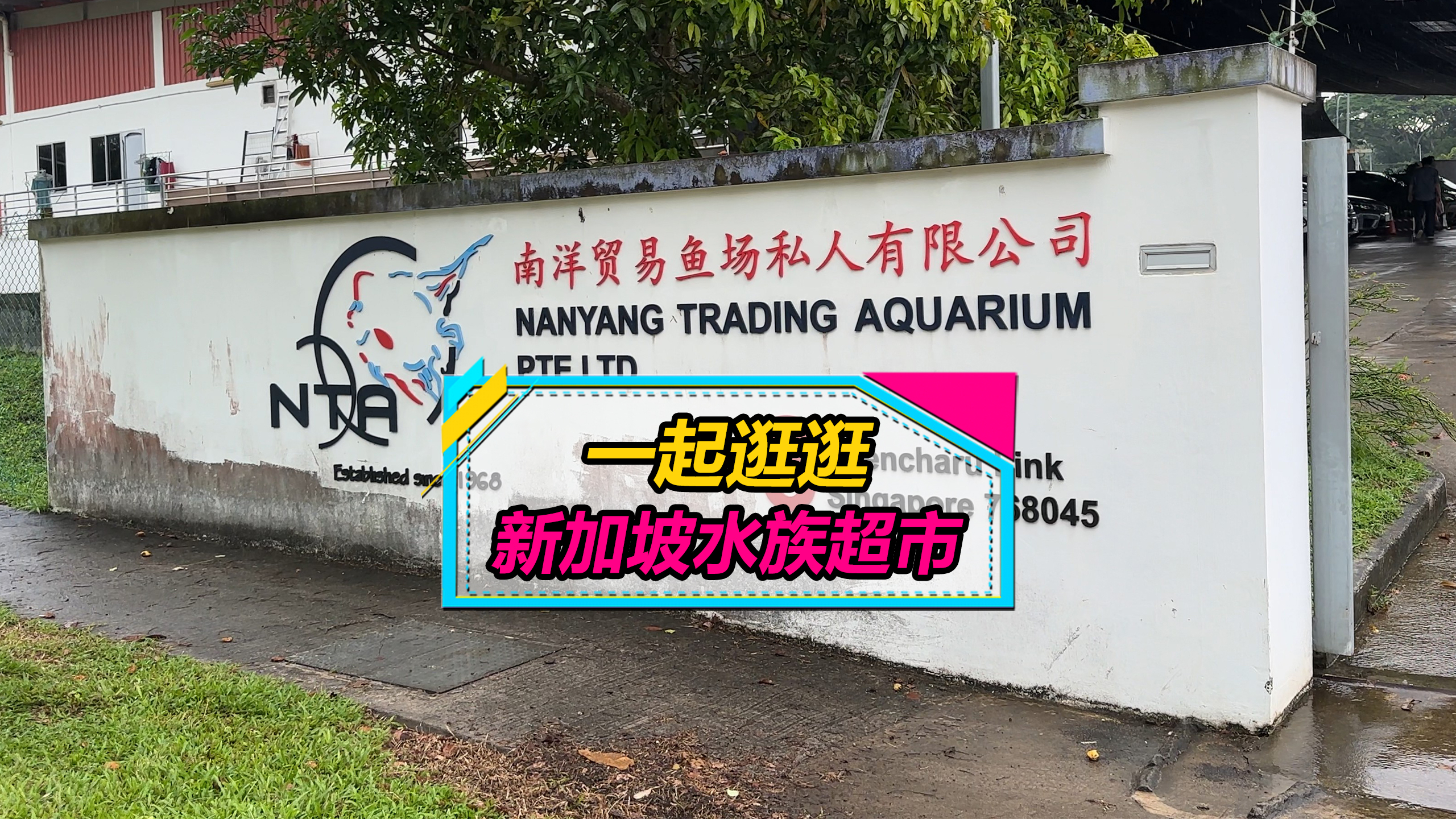 新加坡养鱼真贵啊!看看你的鱼在新加坡卖多少钱?