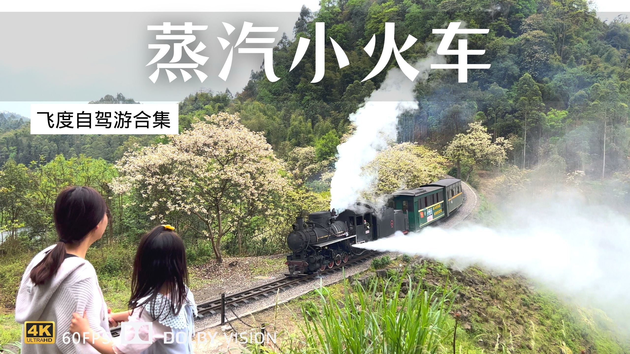 嘉阳蒸汽小火车 带上家人在这拍拍照 就地取材露营做美食