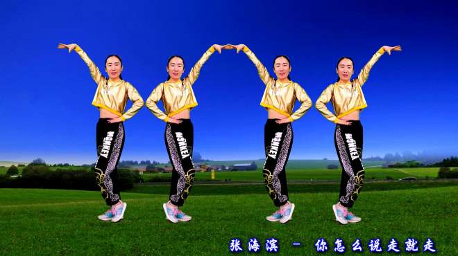 伤感情歌广场舞《你怎么说走就走》谁能体会我的感受，句句入心