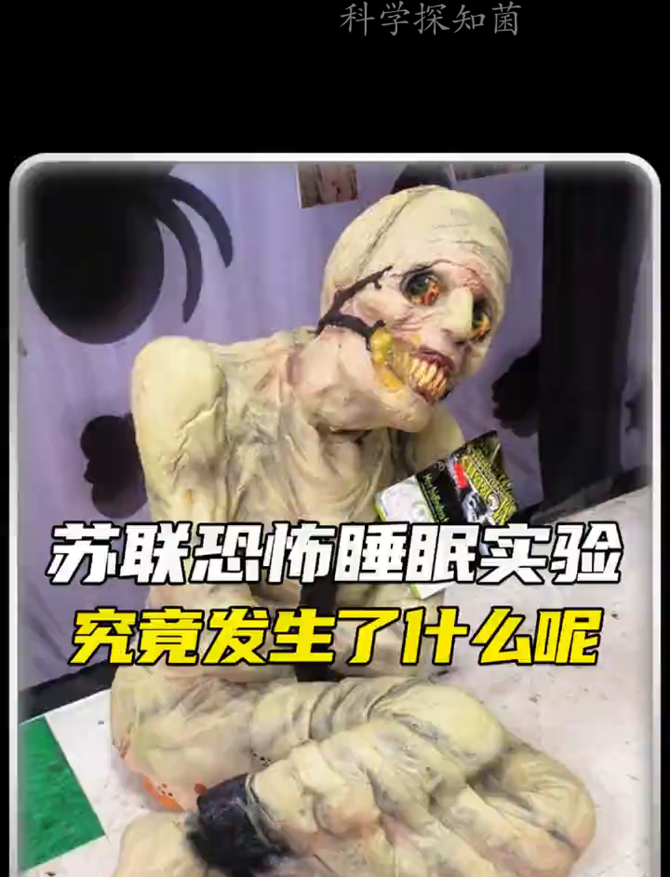 这实验到底藏着啥秘密?