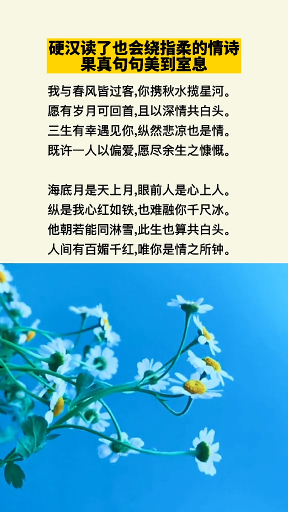 既许一人以偏爱,愿尽余生之慷慨