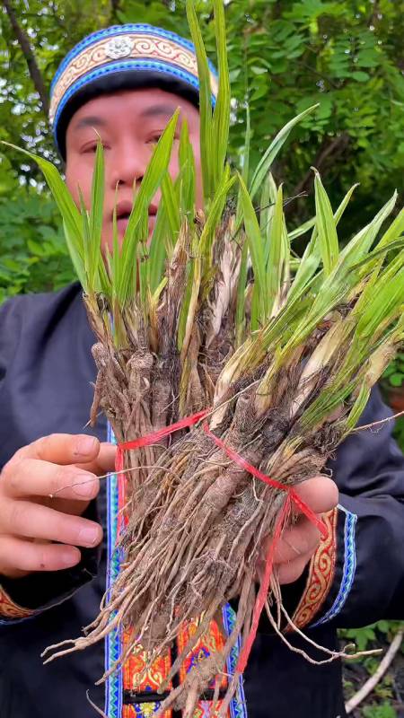 仙茅 别名:地棕 独茅 山党参-度小视