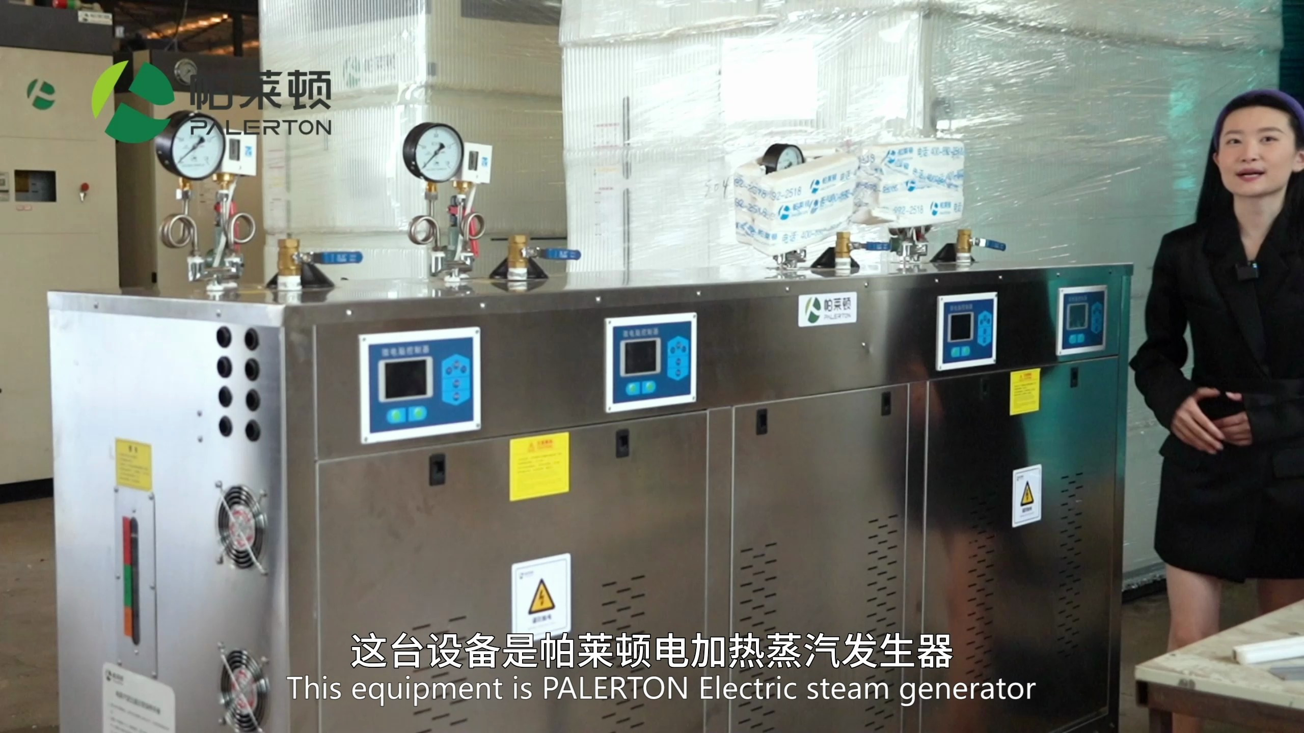 蒸汽发生器 电加热版