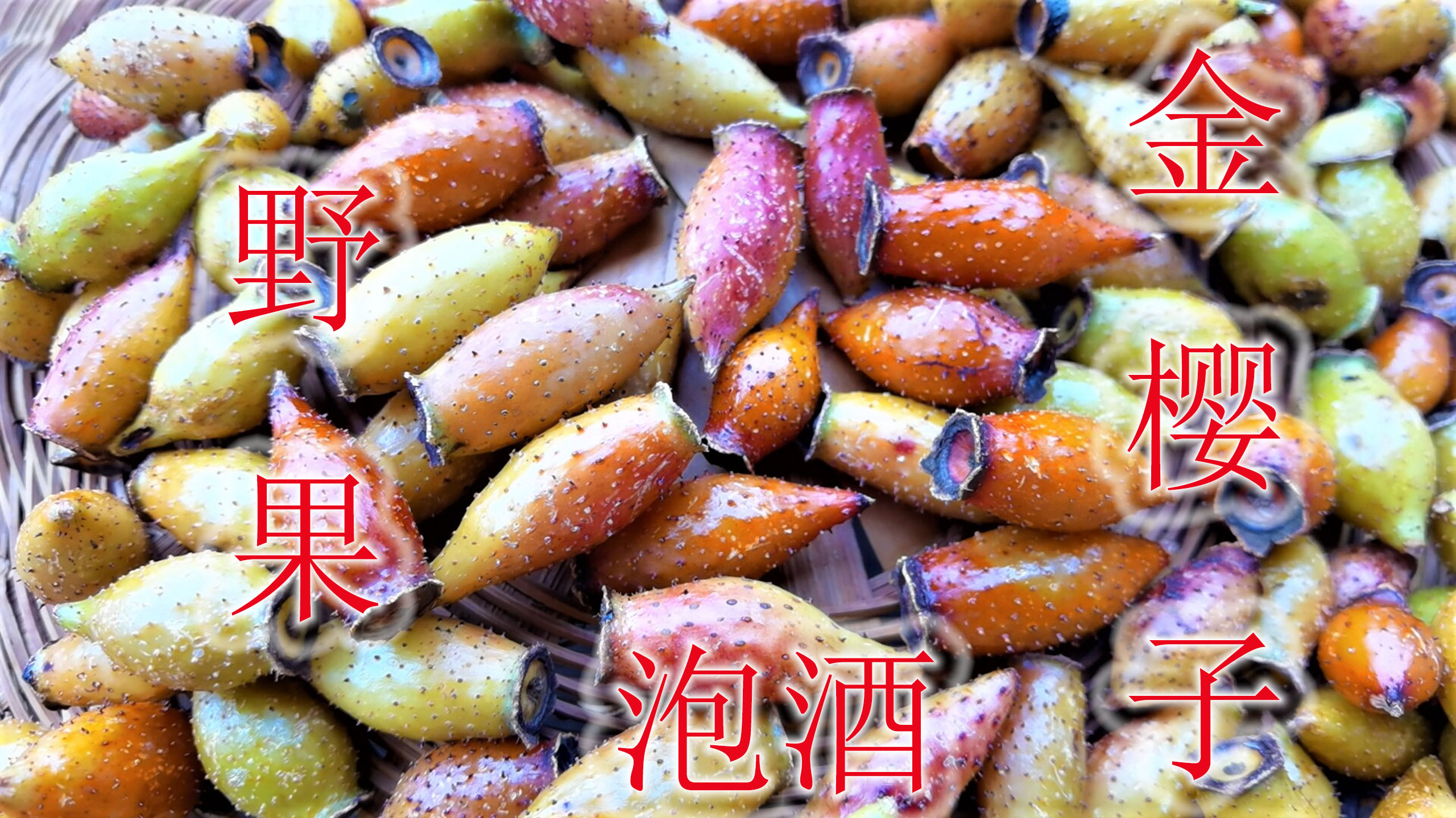 网友预订金樱子野果,泡酒被称为“天然肾果”,很多人不愿去采摘