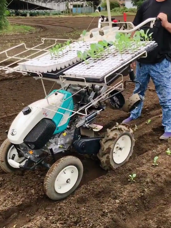 微型蔬菜栽培机 日本农机 蔬菜移植机