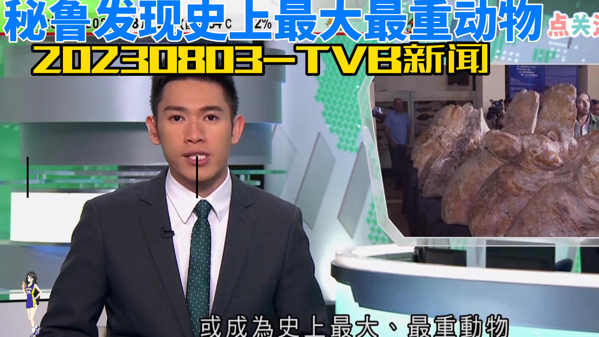 20230803TVB新闻-秘鲁发现史上最大最重动物