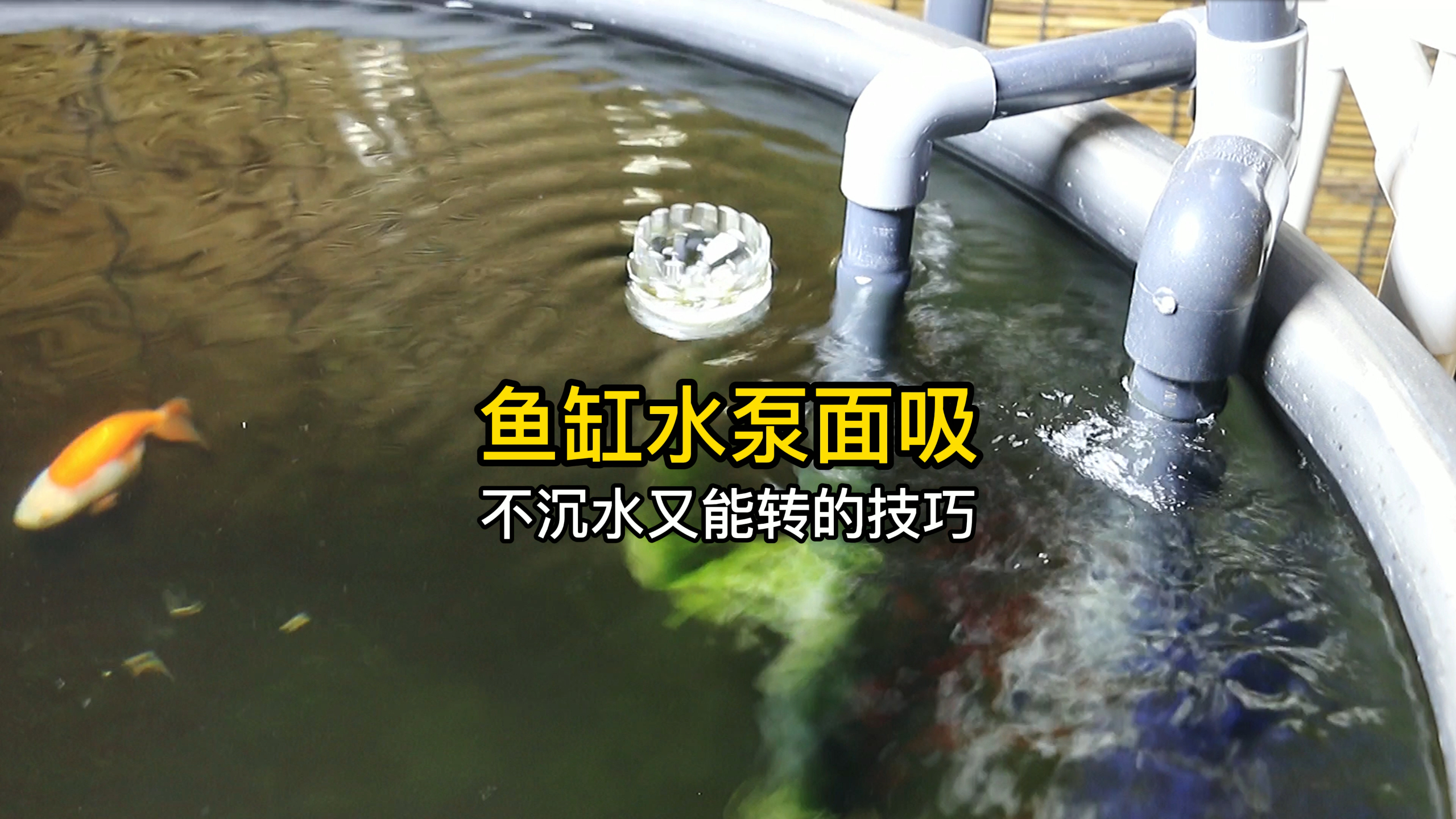 鱼缸水泵面吸浮头不沉水又能转的技巧是什么?面吸的功能是什么?