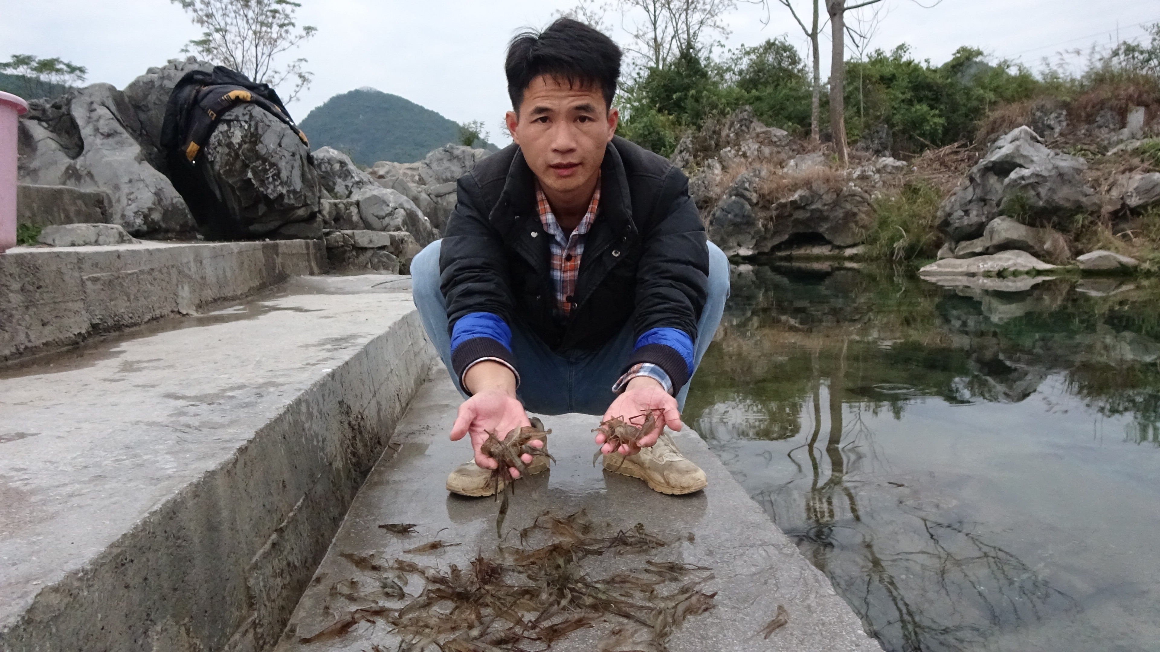 小莫抓鱼碰上虾王群搁浅,密密麻麻遍地都是,40块一斤抓到手软