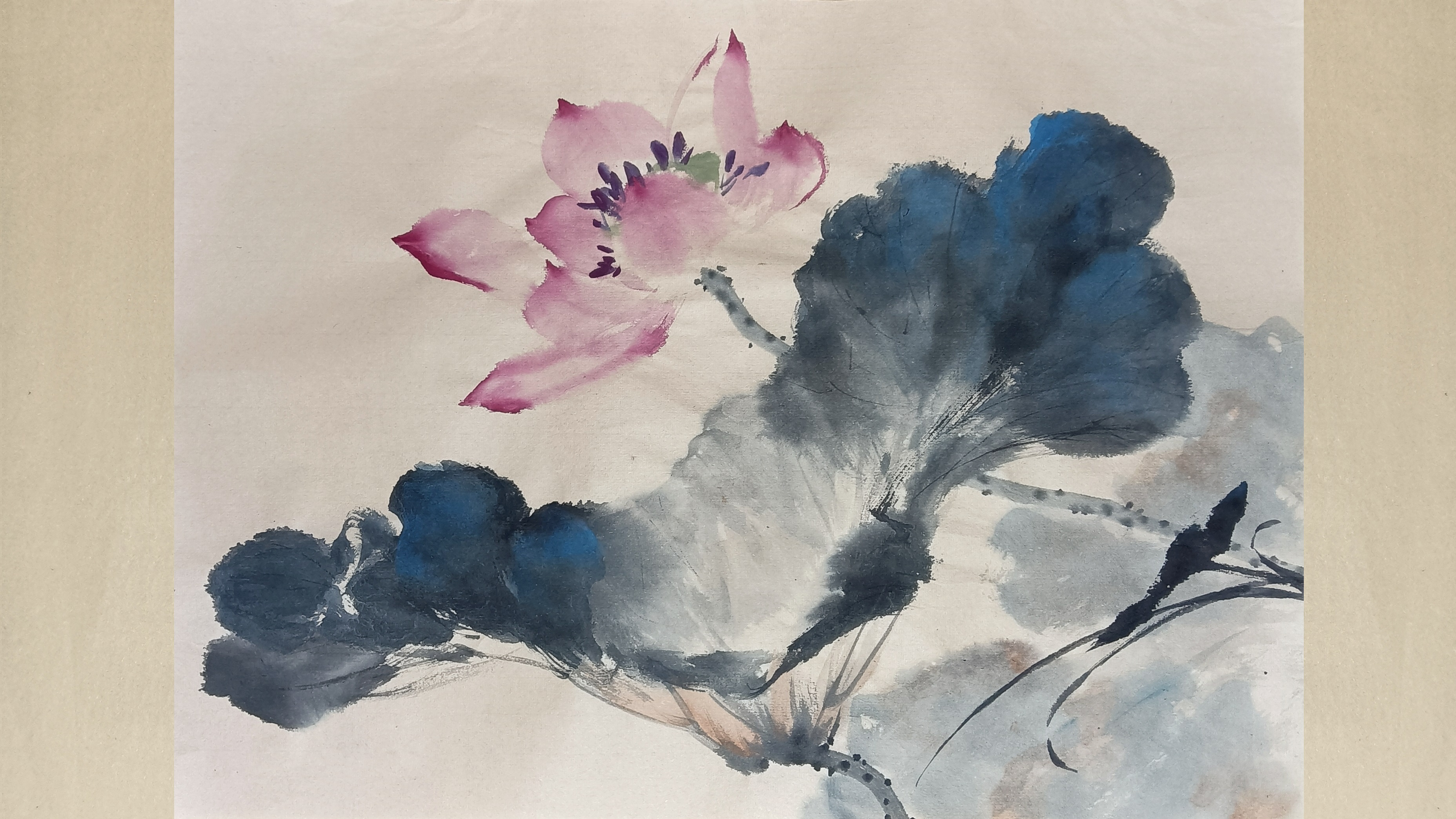 日常横幅国画荷花