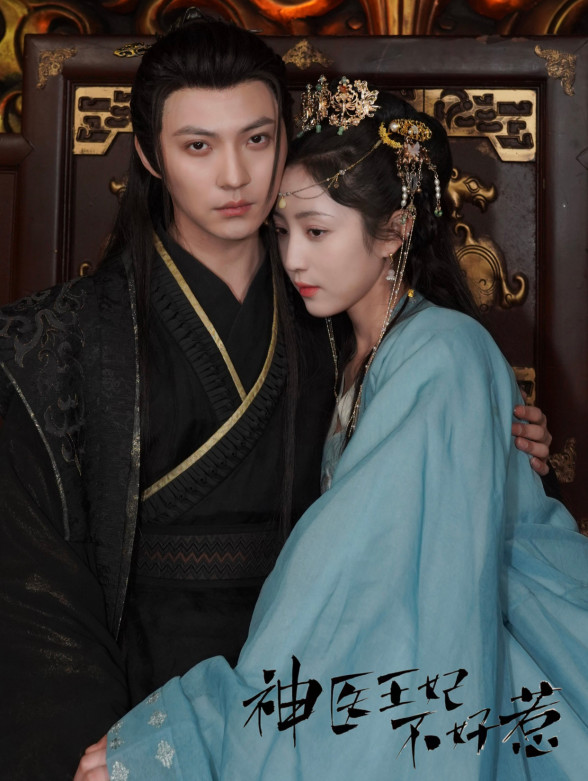 神医王妃不能惹