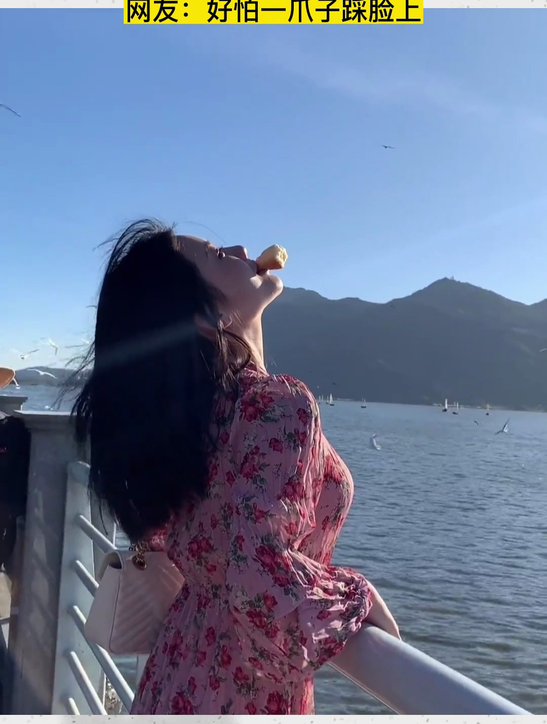 美女嘴含面包喂海鸥,一只海鸥成功叼走-度小视