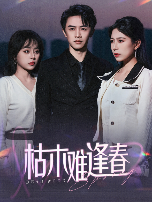 枯木难逢春封面图