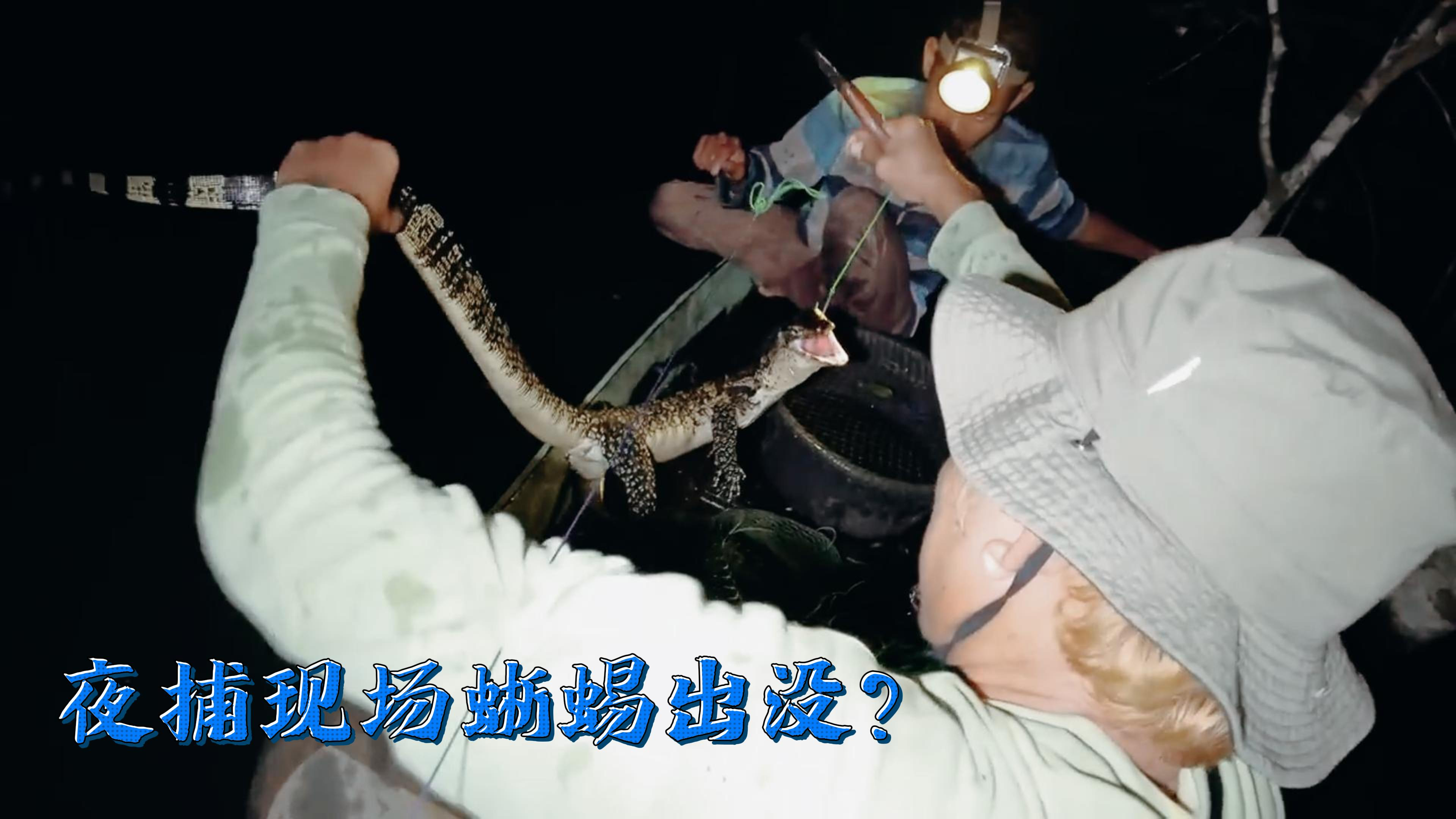 这是鳄鱼还是蜥蜴啊?