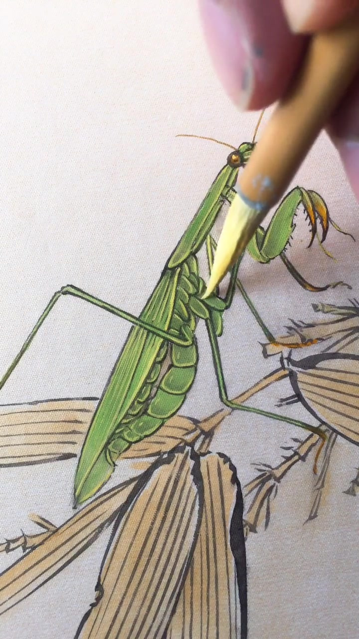 书画艺术欣赏:画只工笔螳螂-度小视