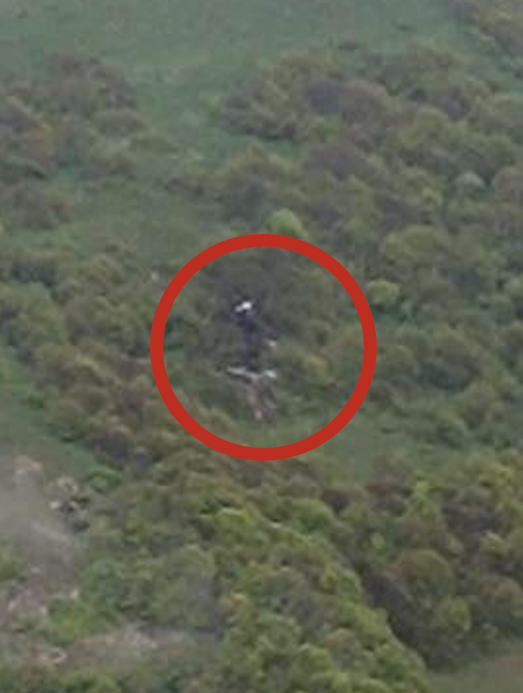 伊朗总统莱希所乘直升机坠机地点已找到 搜救队已抵达