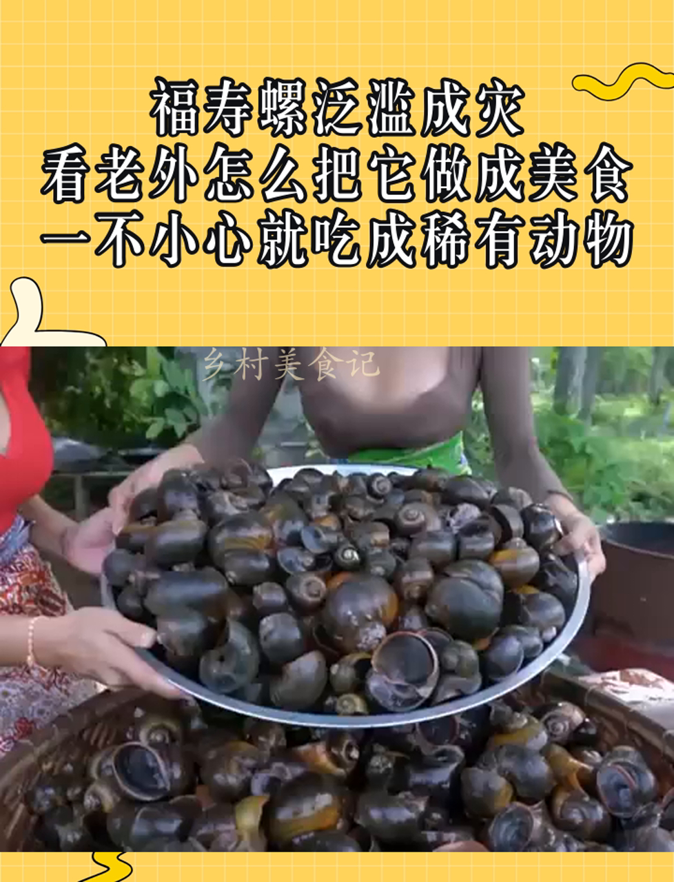 福寿螺泛滥成灾,看老外怎么把它做成美食,一不小心就吃成稀有动物