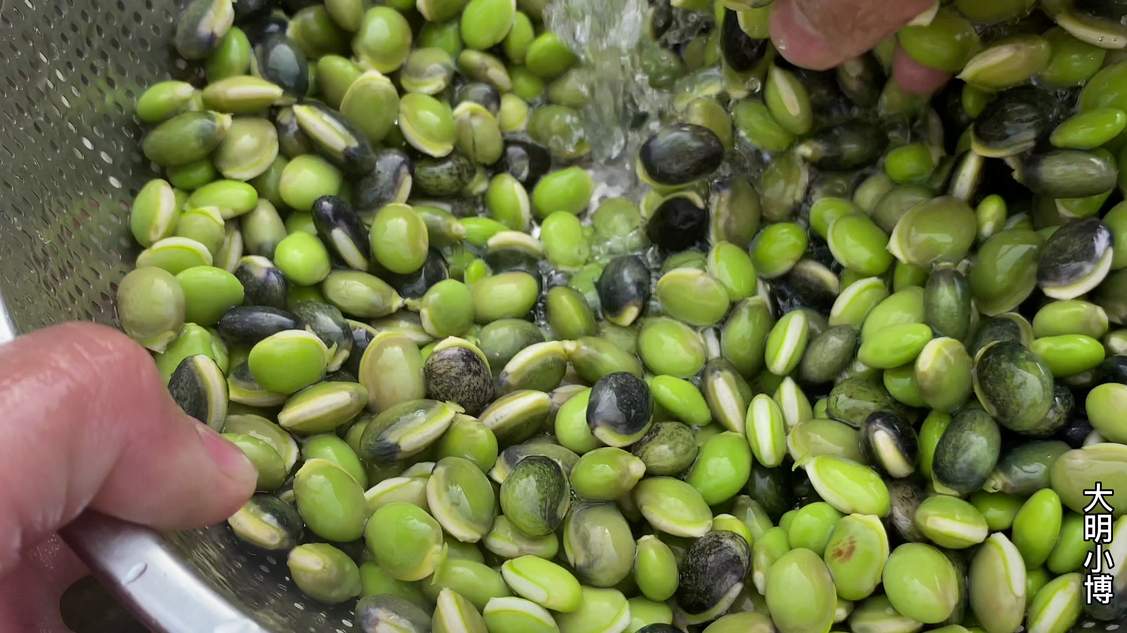 来自广东湛江农村的味道,当地人称为雪豆,炒来当零食吃,见过吗