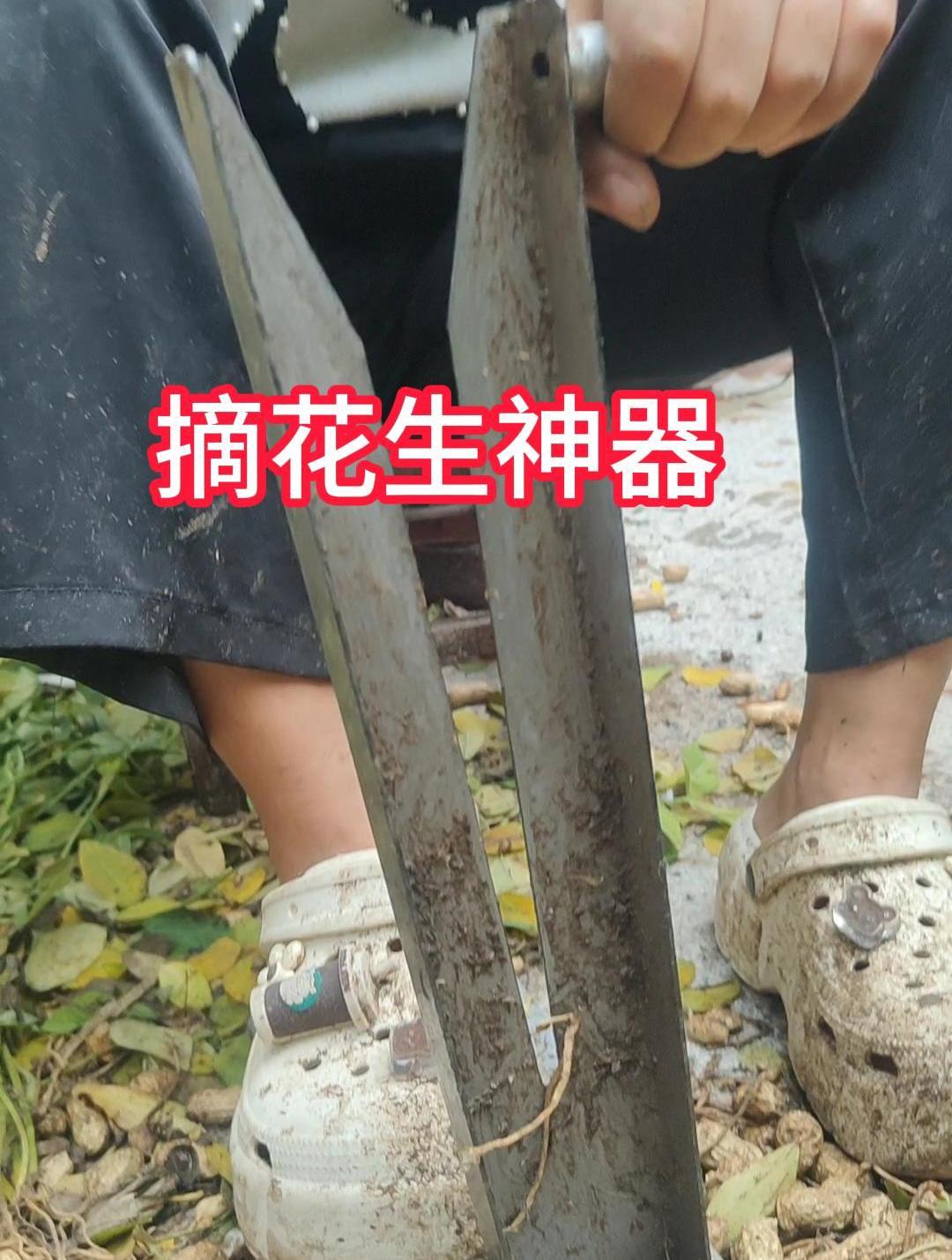 种植花生的老乡们,摘花生神器,一人顶10人