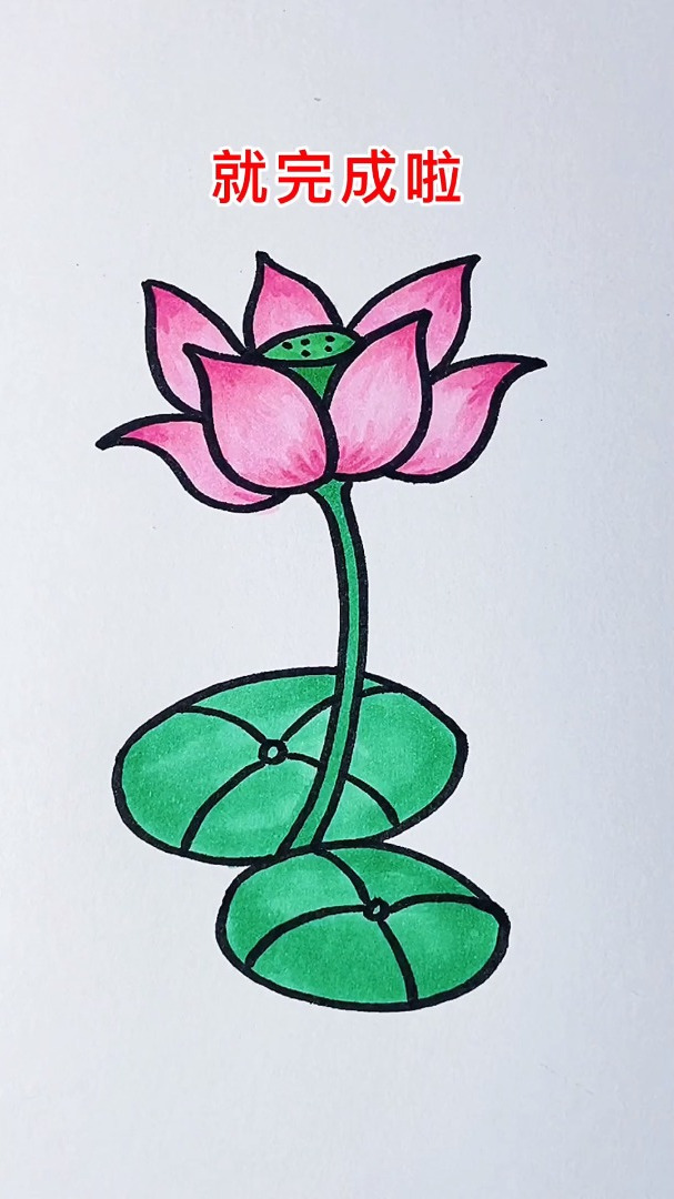 美丽好看的荷花,怎么简笔画出来