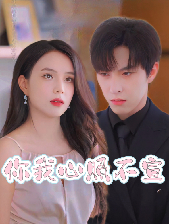 你我心照不宣封面图
