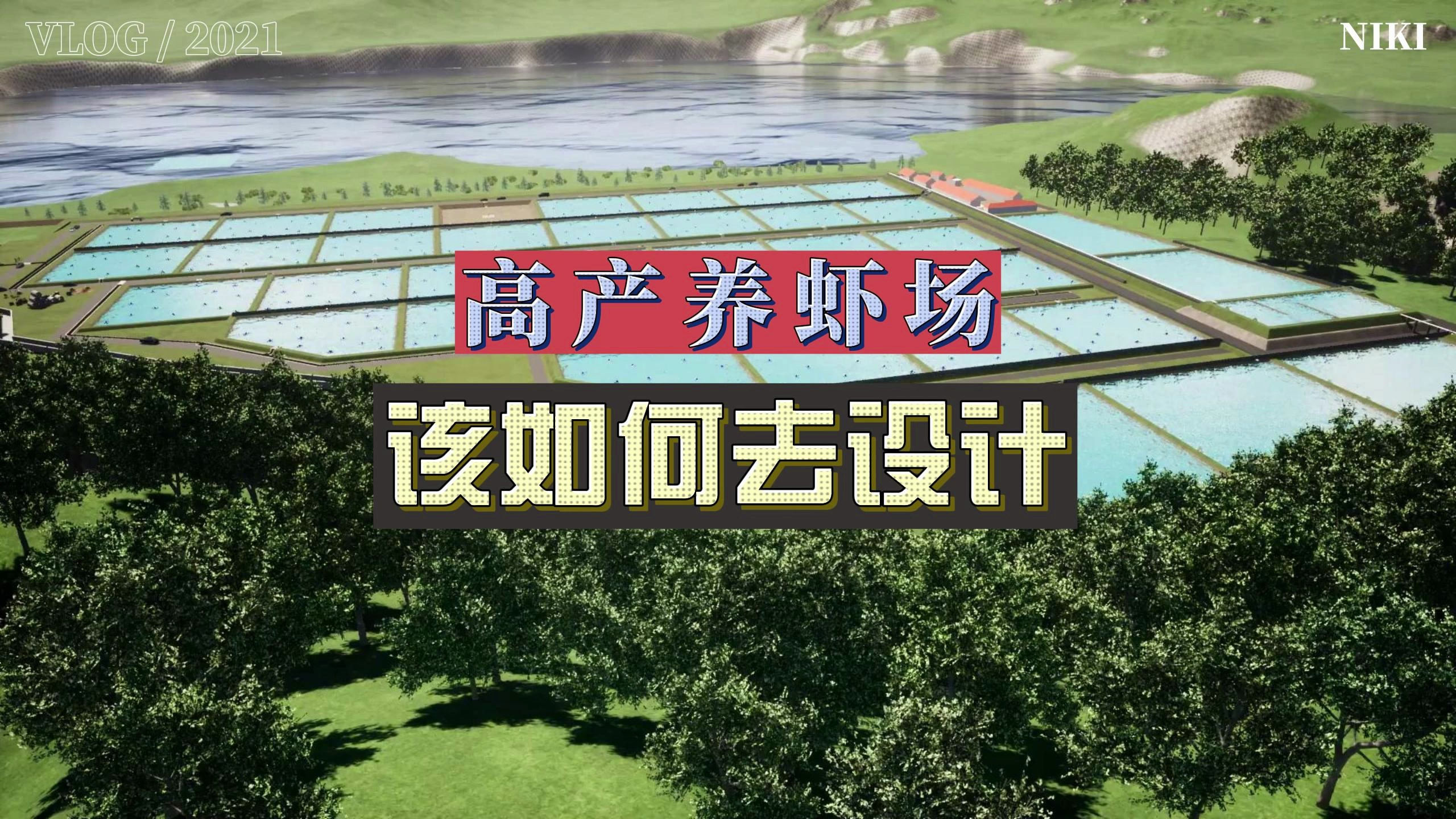高产的养虾场,该如何去设计?养殖高手跟你揭露!