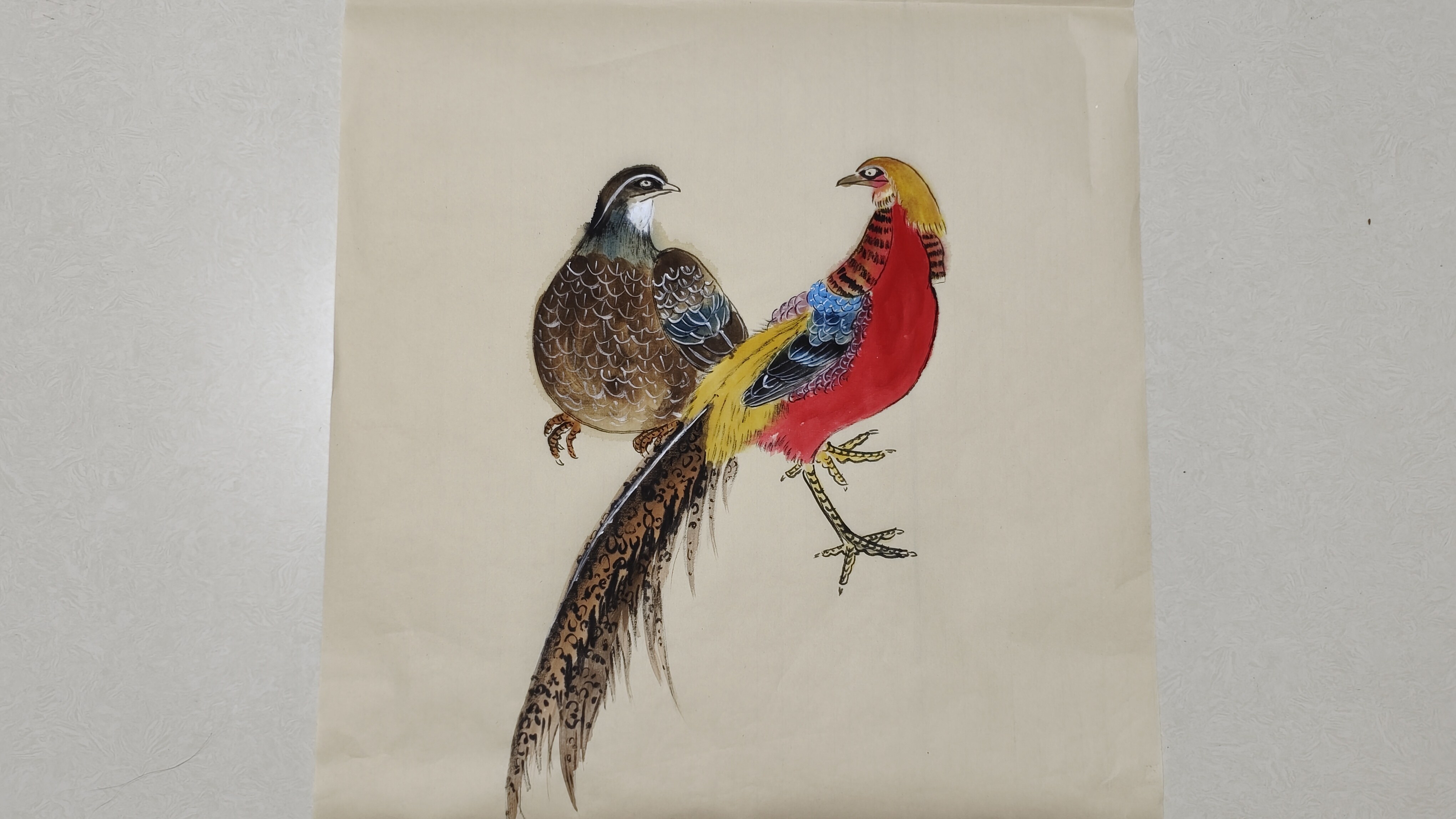 这种方法画出来的锦鸡,更精细,更完美