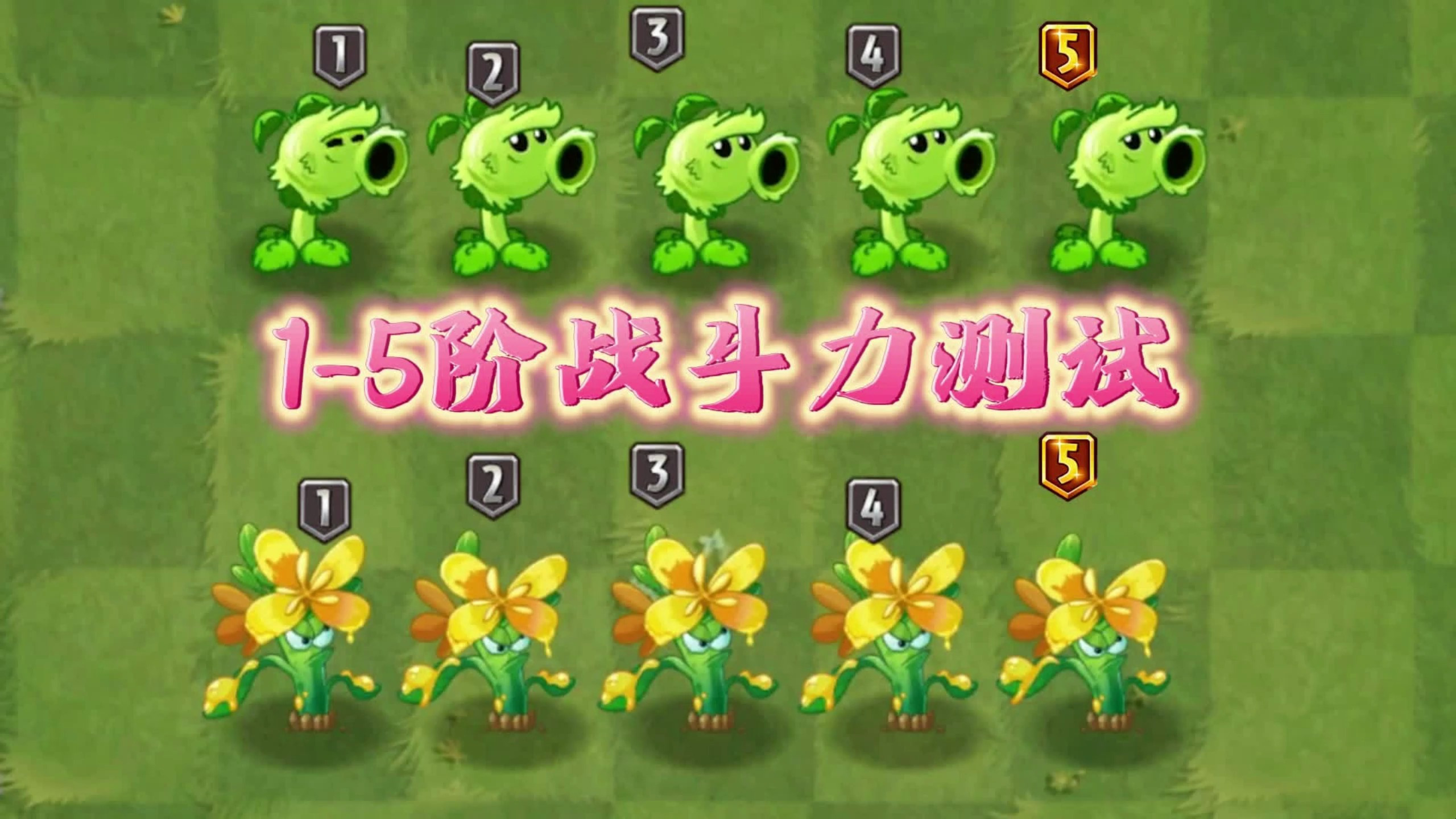植物大战僵尸:1-5阶战斗力测试,原神vs油菜花,谁输出更强?